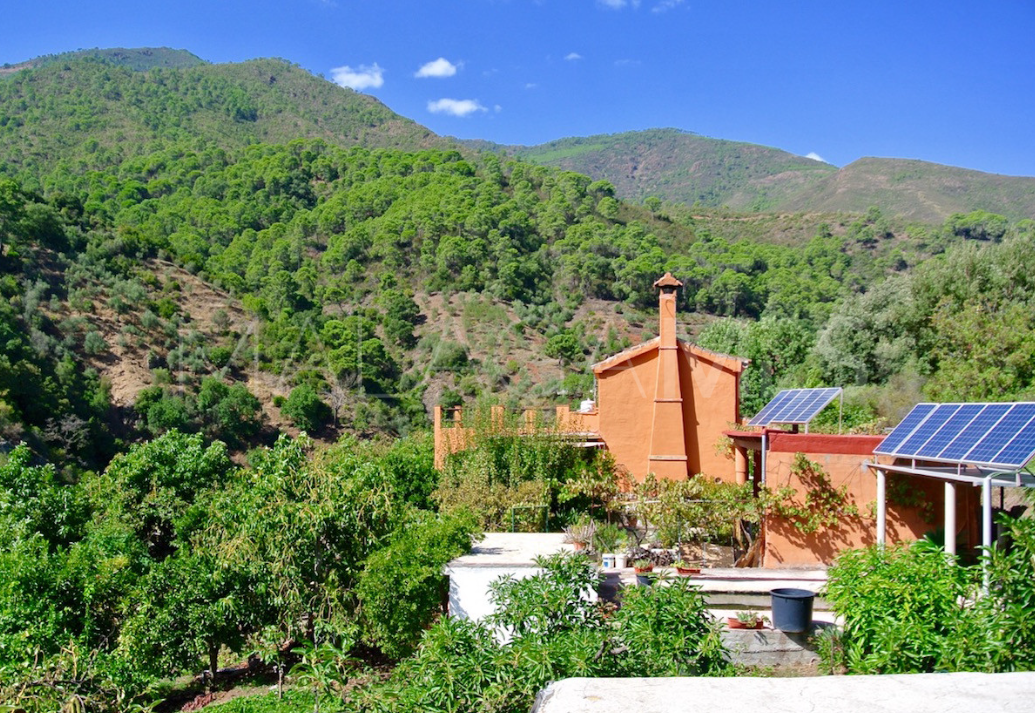 5 bedrooms finca in Istan for sale