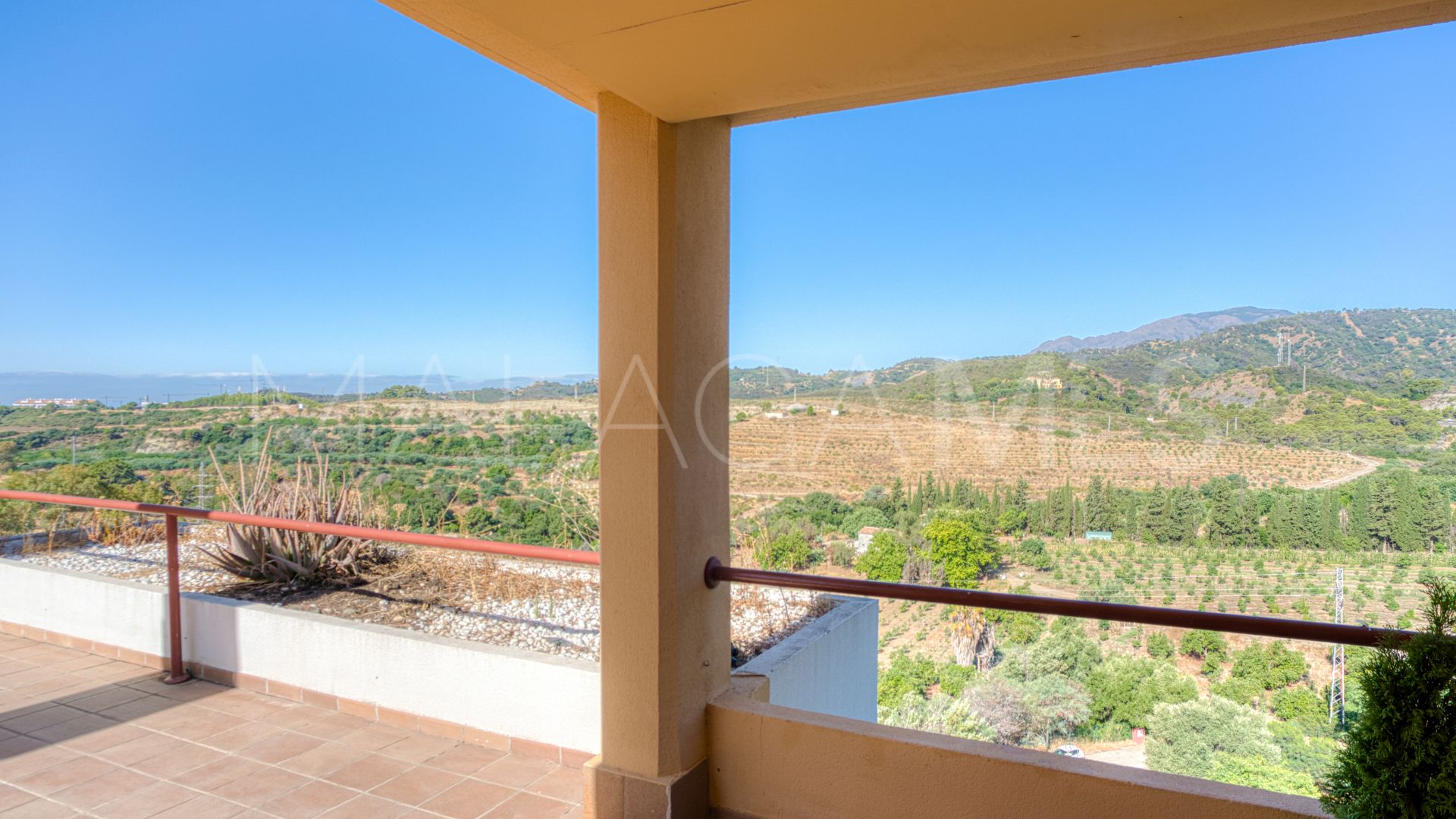 Appartement terrasse for sale in Parque Botanico