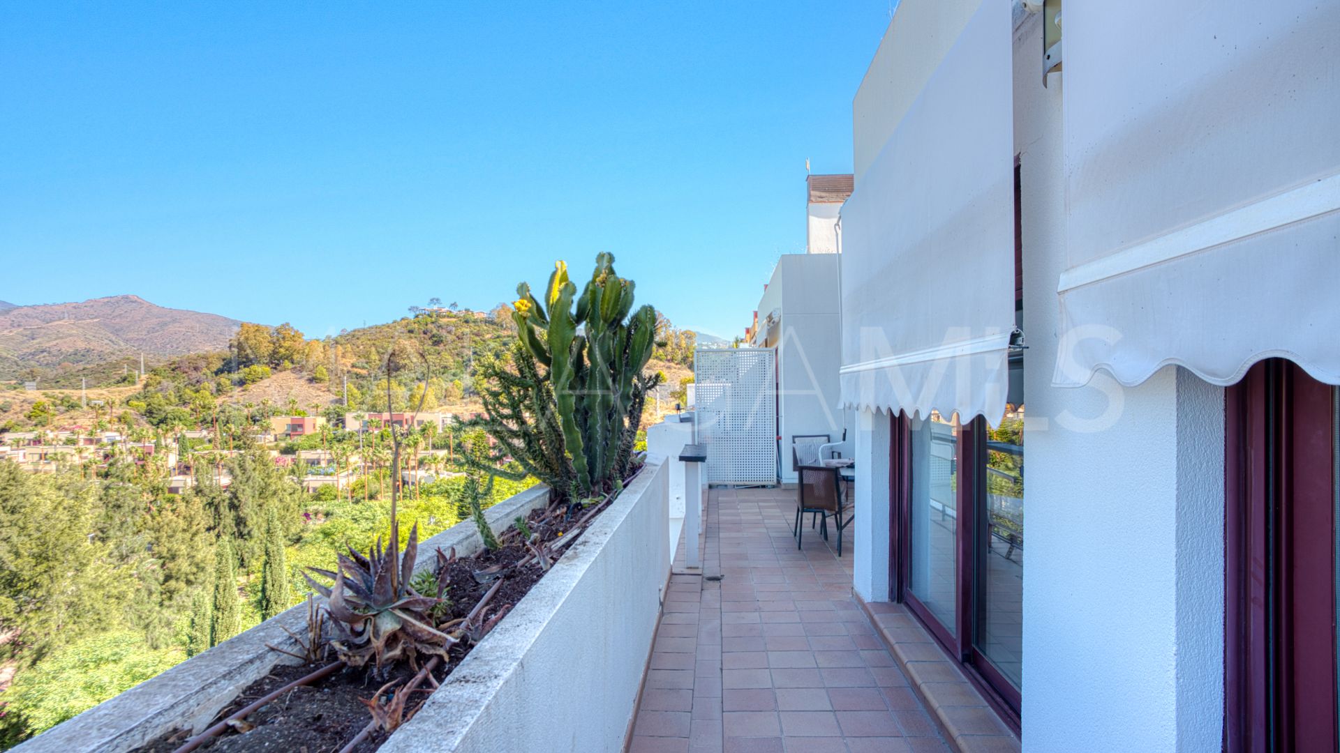 Appartement terrasse for sale in Parque Botanico