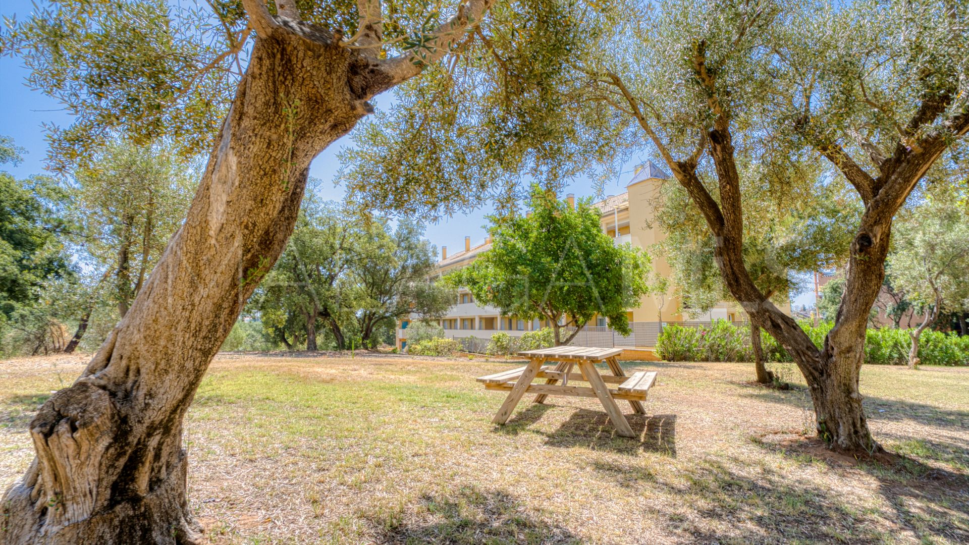 Appartement rez de chaussée for sale in Marbella Est