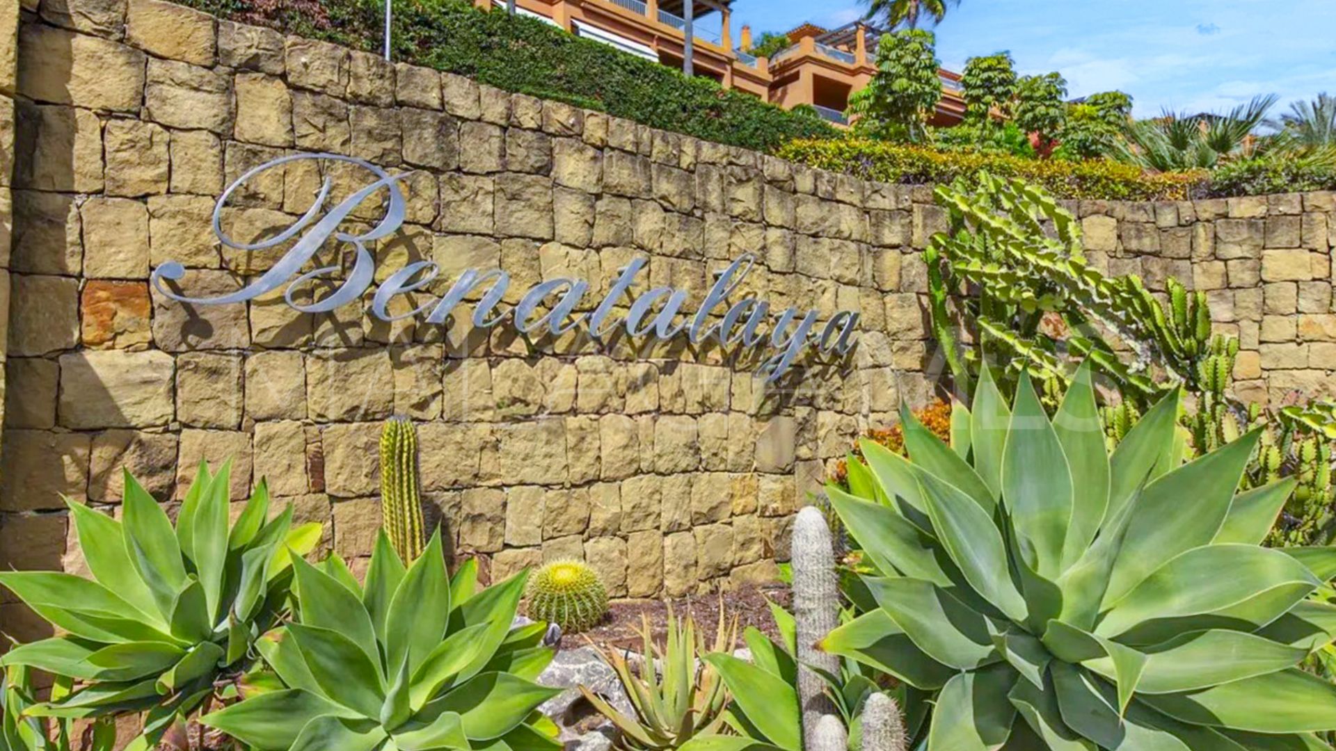 Buy apartamento planta baja in Benatalaya