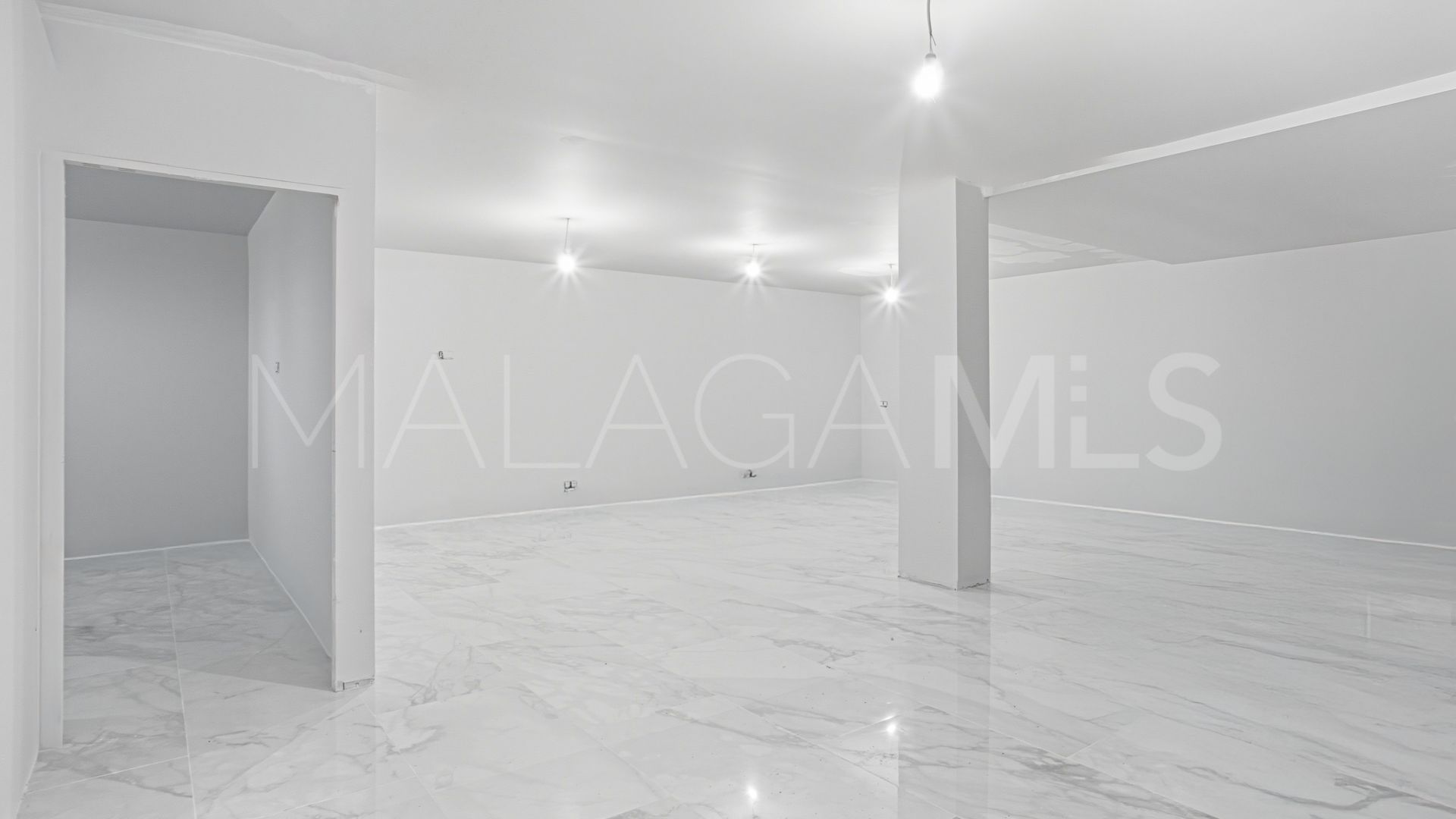 Villa for sale in Guadalmina Alta