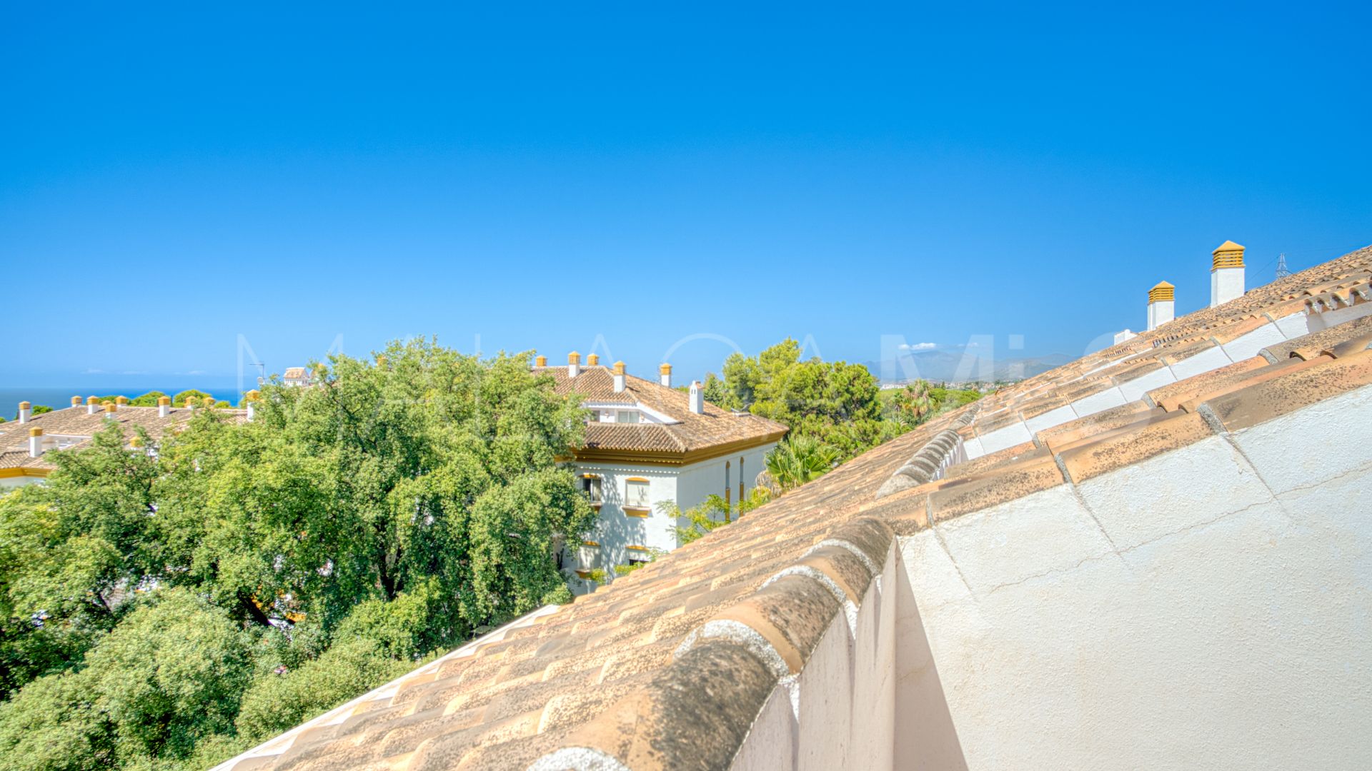 Appartement terrasse for sale in Los Pinos de Nagüeles