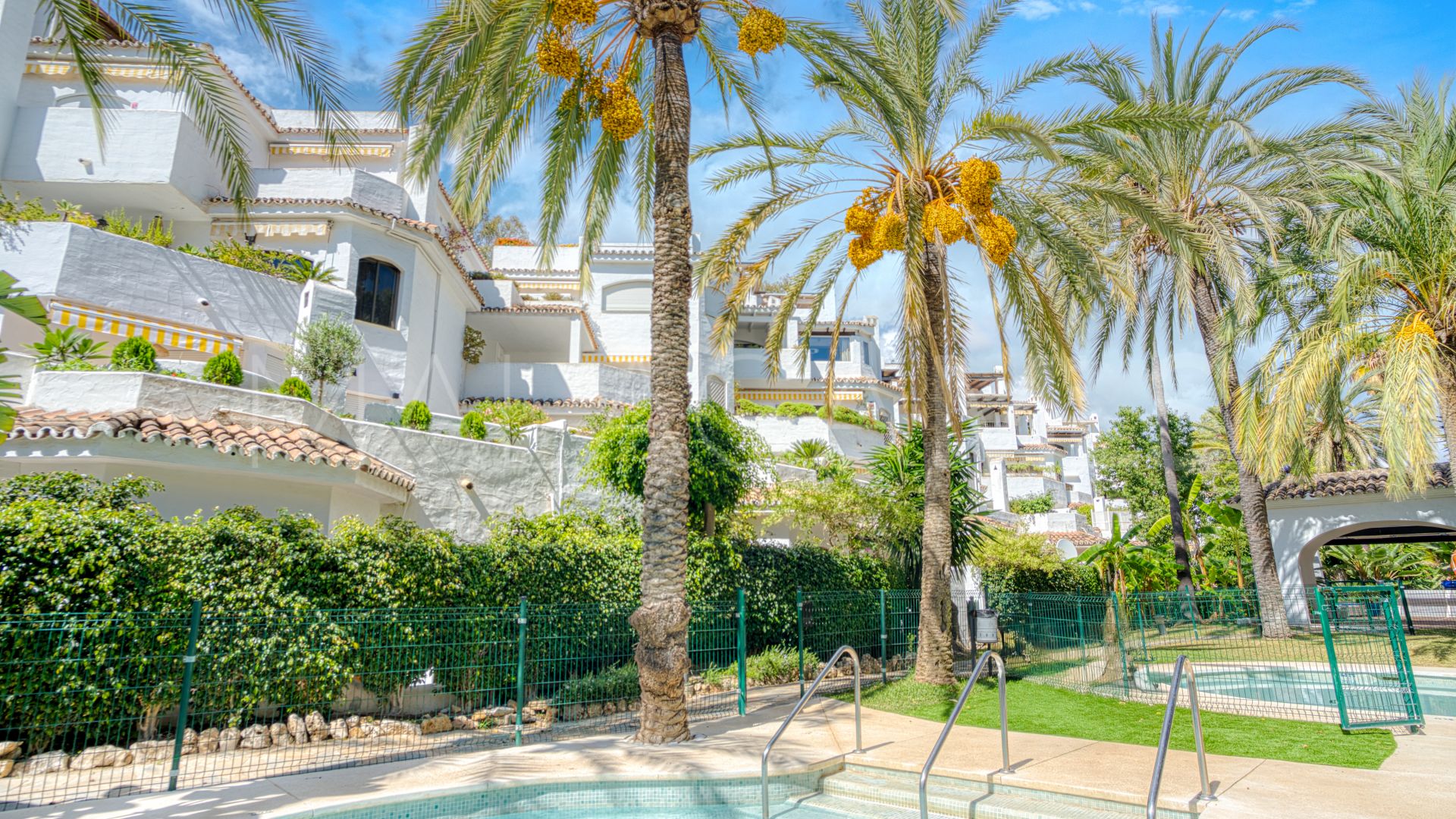 Buy apartamento in Golden Beach