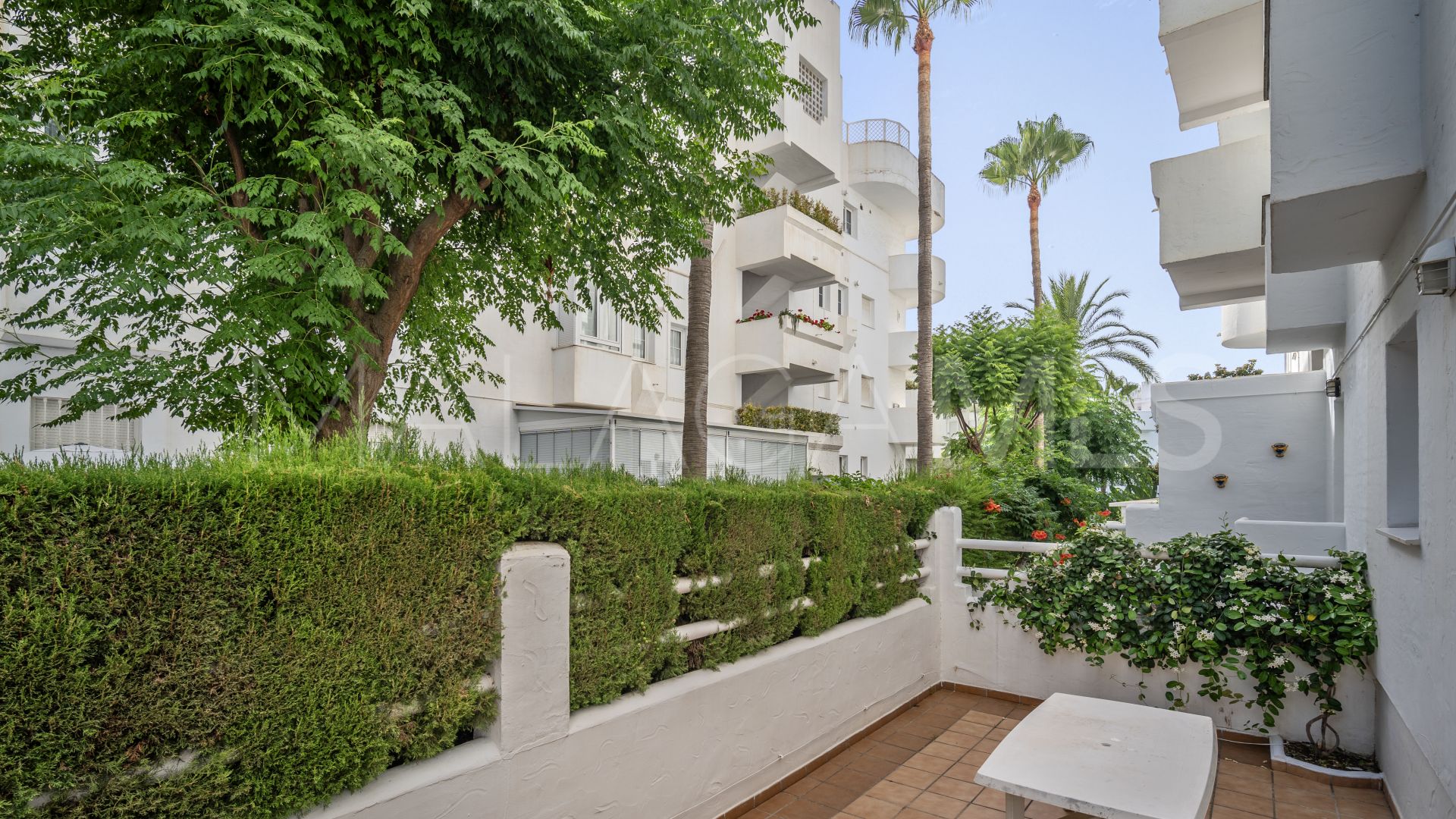 For sale Marbella Real 3 bedrooms ground floor apartment