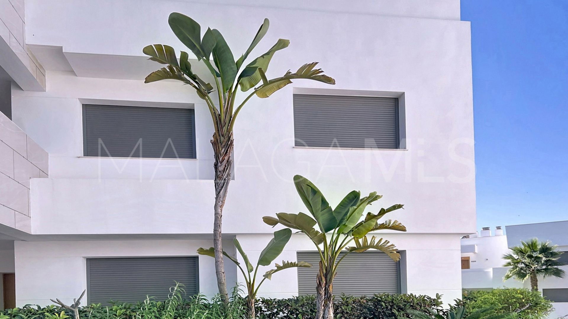 Buy apartamento planta baja in Casares del Sol - Casares Golf with 3 bedrooms