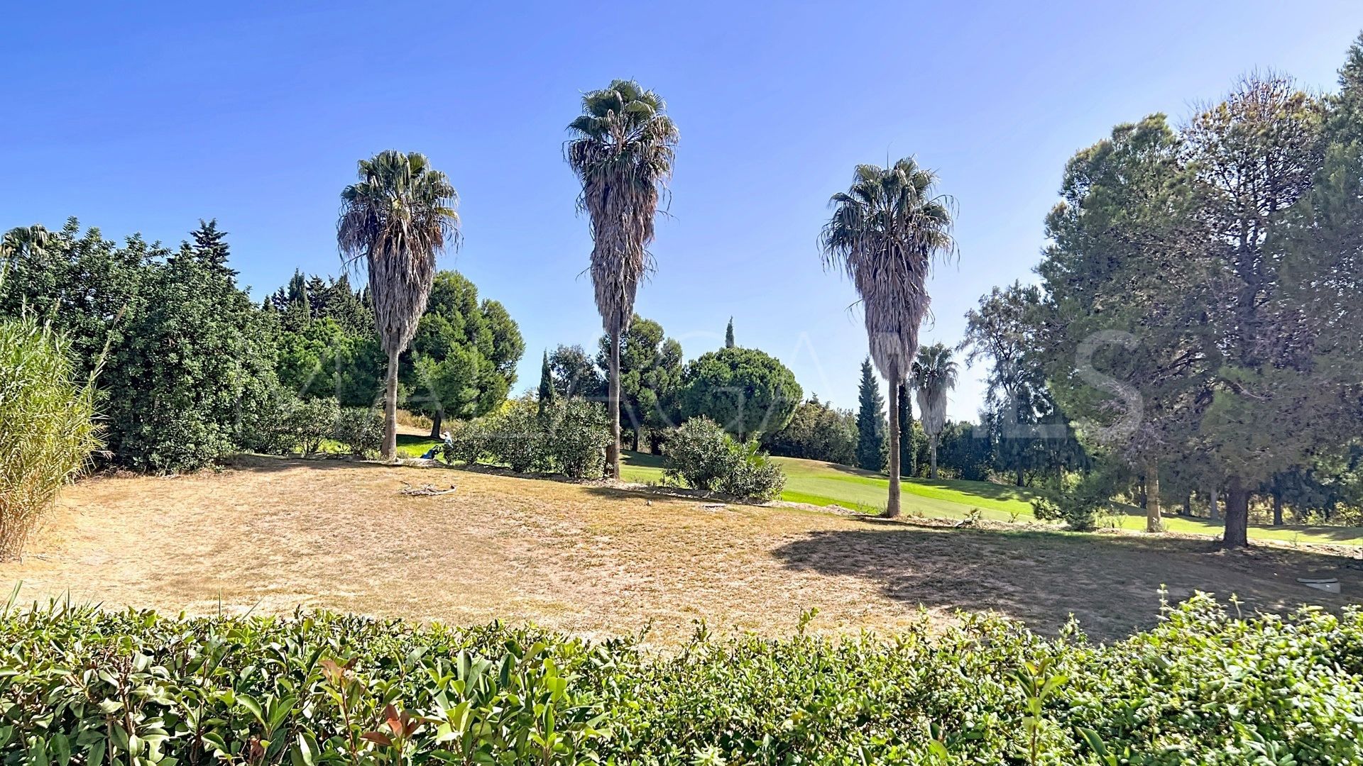 Buy apartamento planta baja in Casares del Sol - Casares Golf with 3 bedrooms