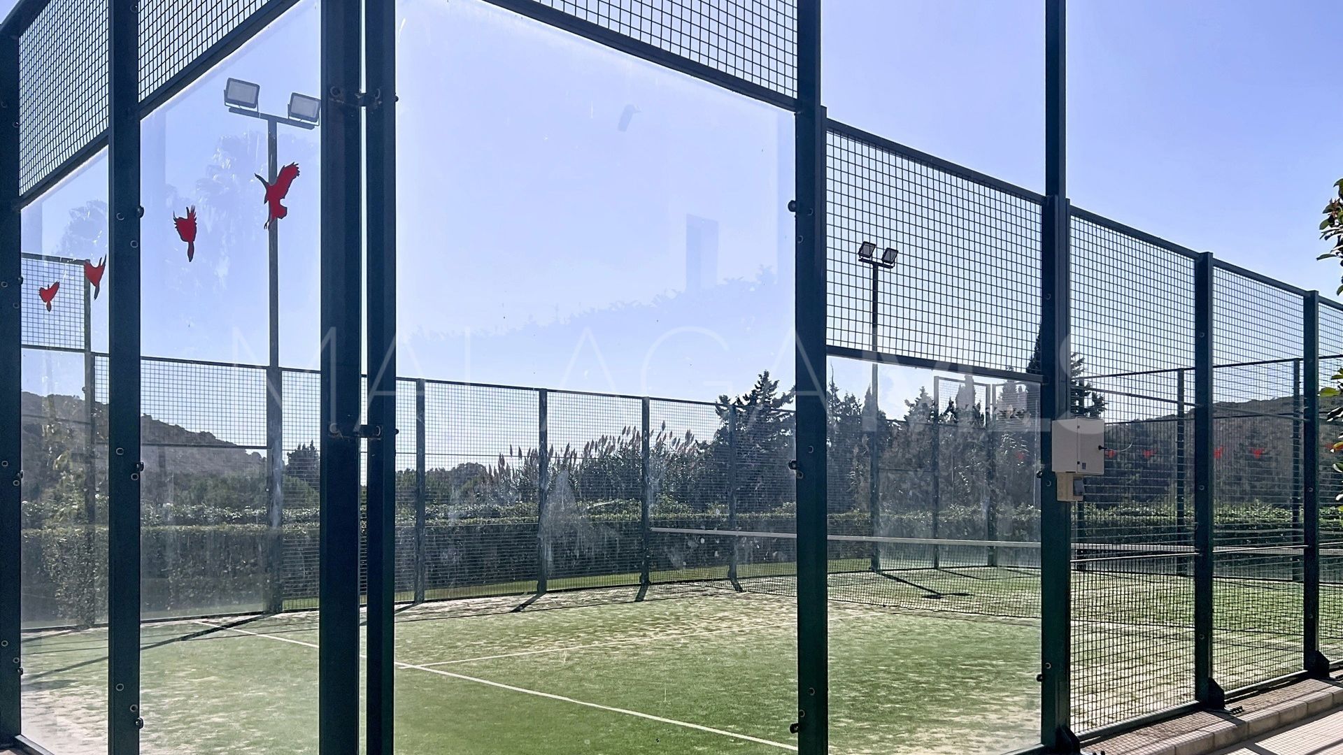 Buy apartamento planta baja in Casares del Sol - Casares Golf with 3 bedrooms