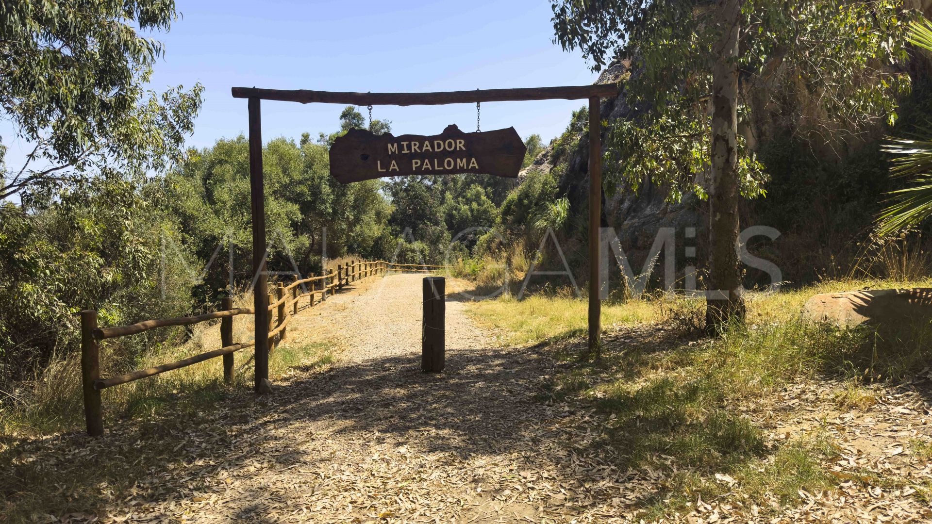 Buy ground floor apartment in La Paloma with 4 bedrooms