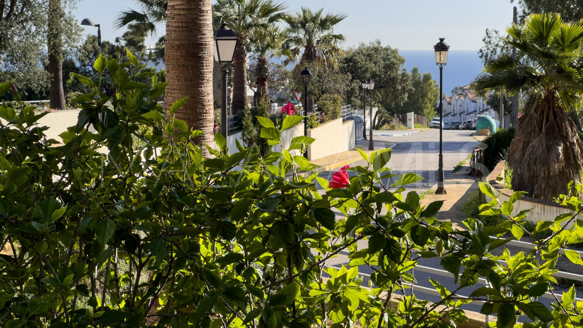 Buy penthouse with 2 bedrooms in La Paloma
