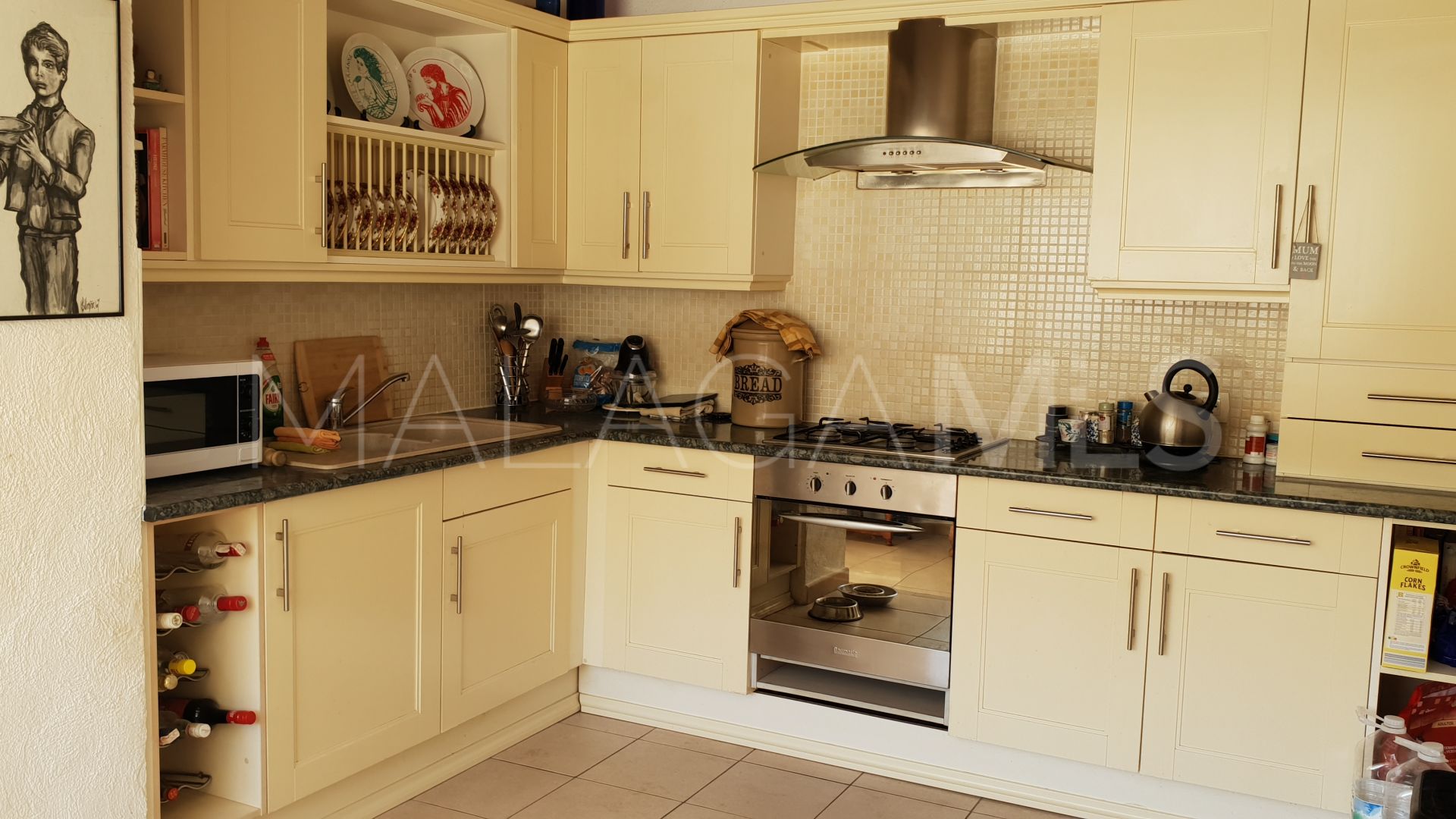 Landhaus for sale in Malaga - Campanillas