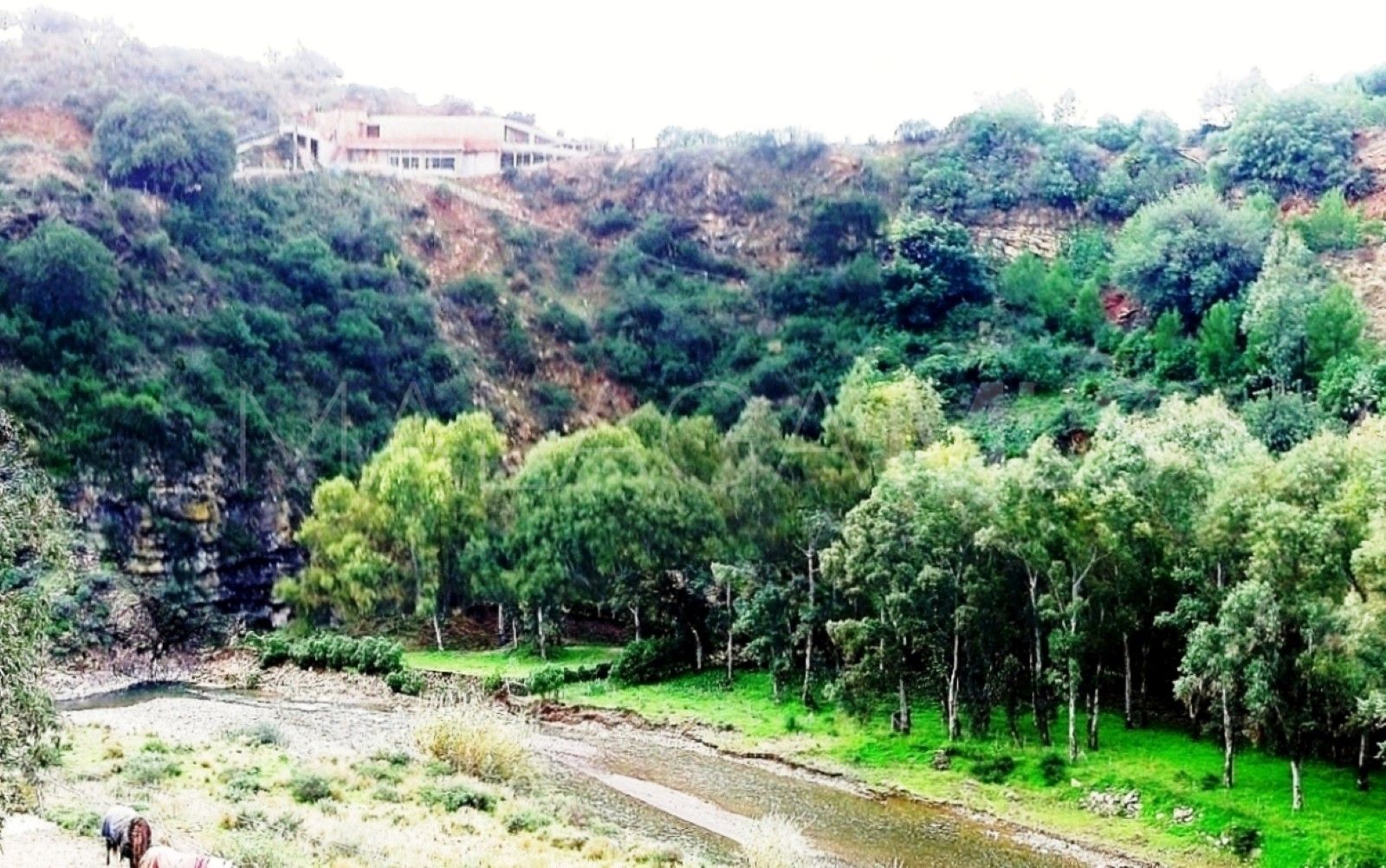 Villa for sale in Mijas