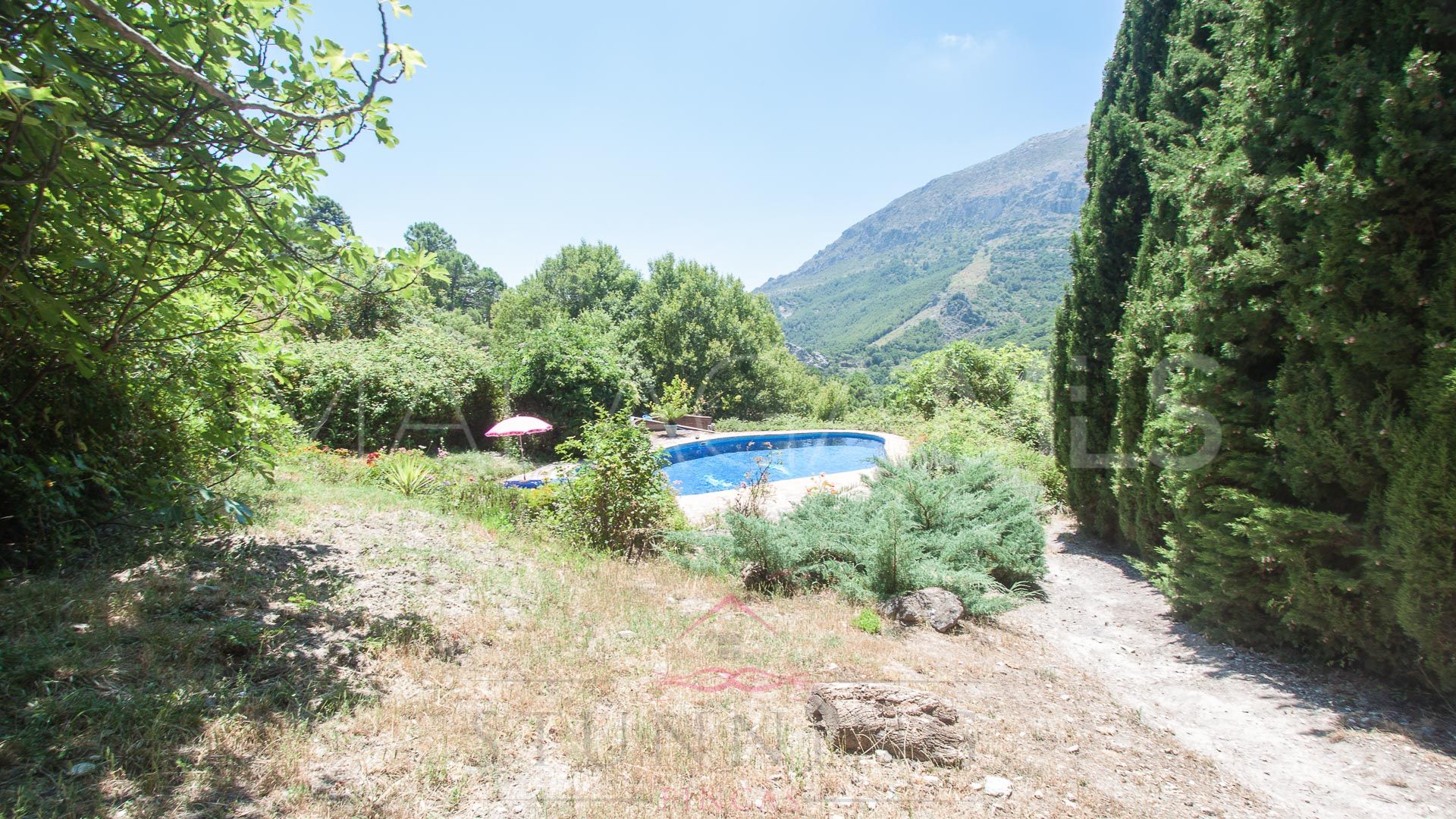 Finca for sale in Casares