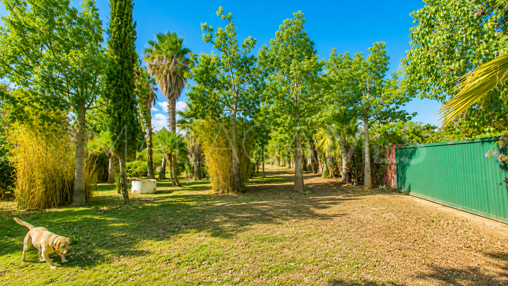 Finca for sale in Estepona