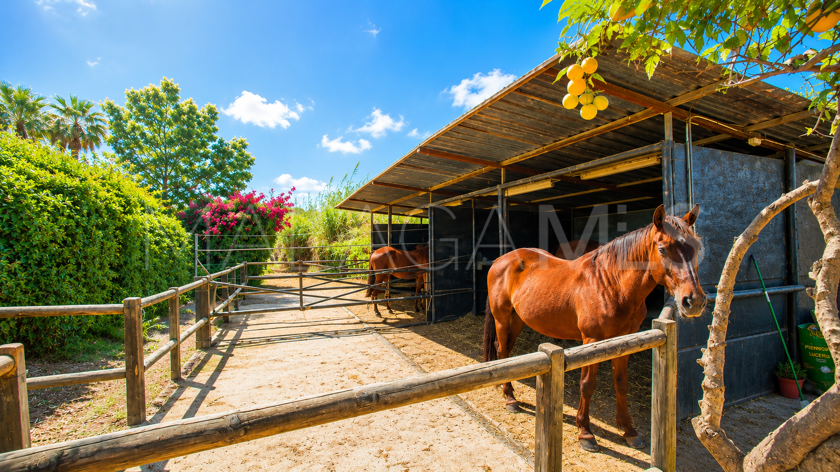 Finca for sale in Estepona