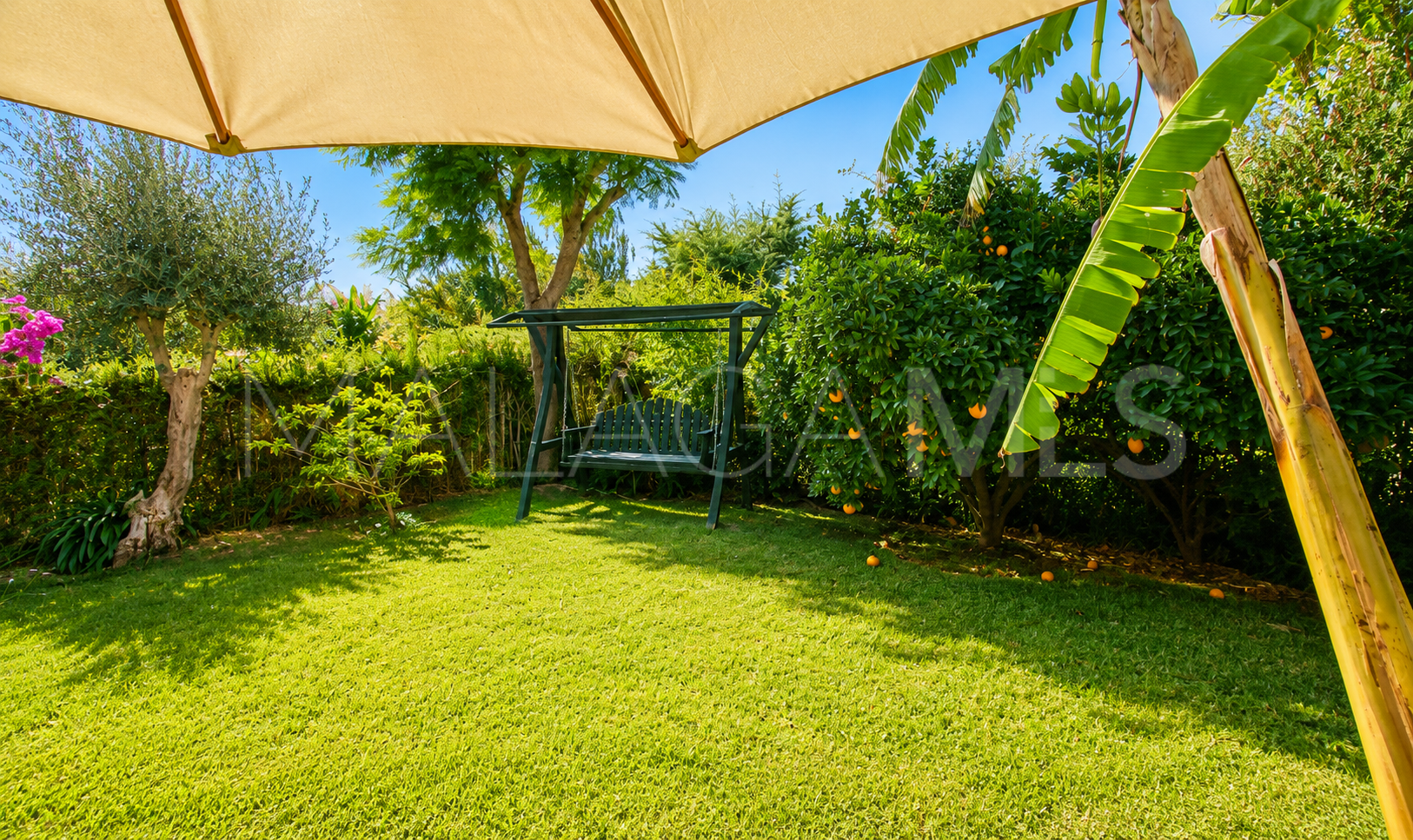 Finca for sale in Estepona