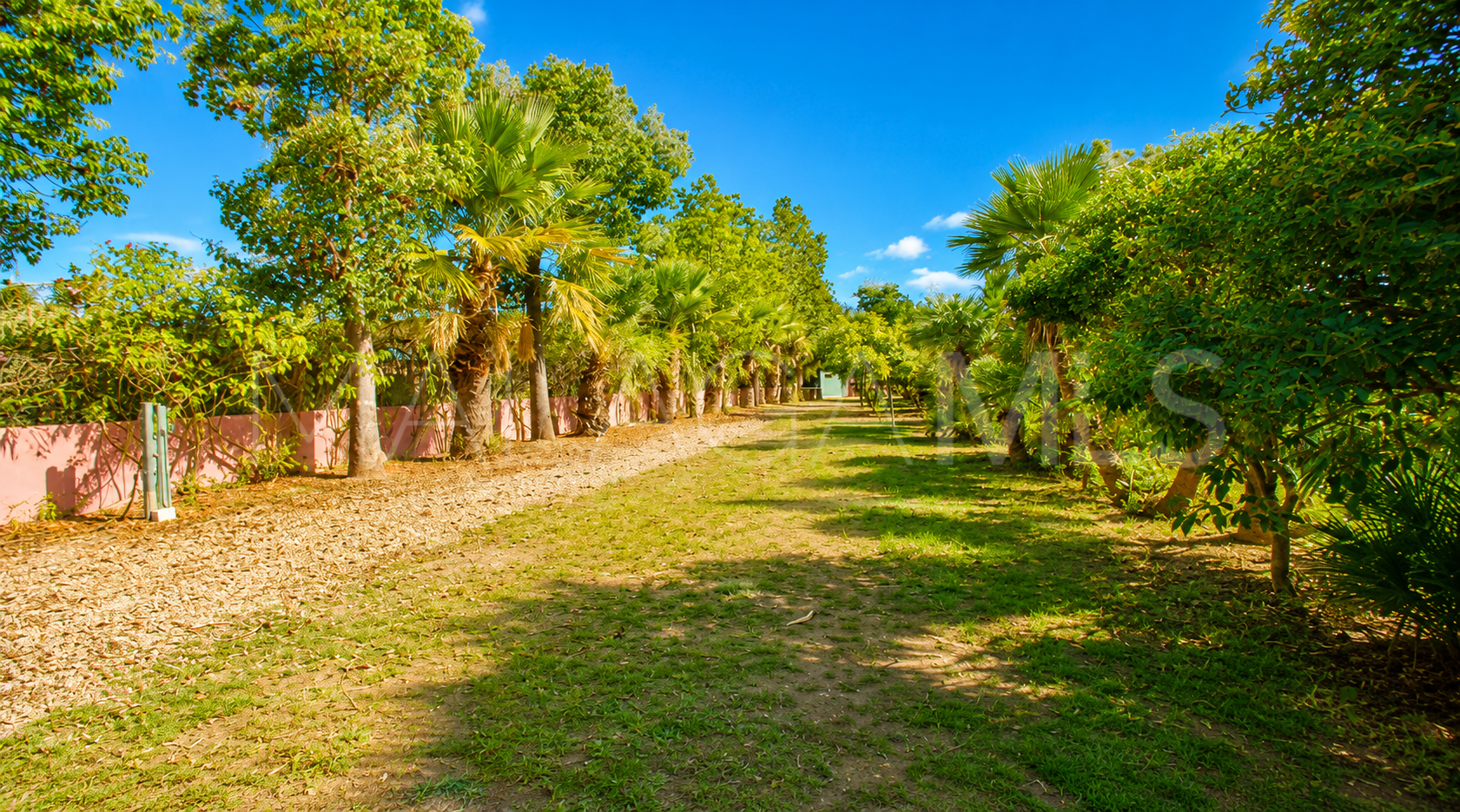 Finca for sale in Estepona