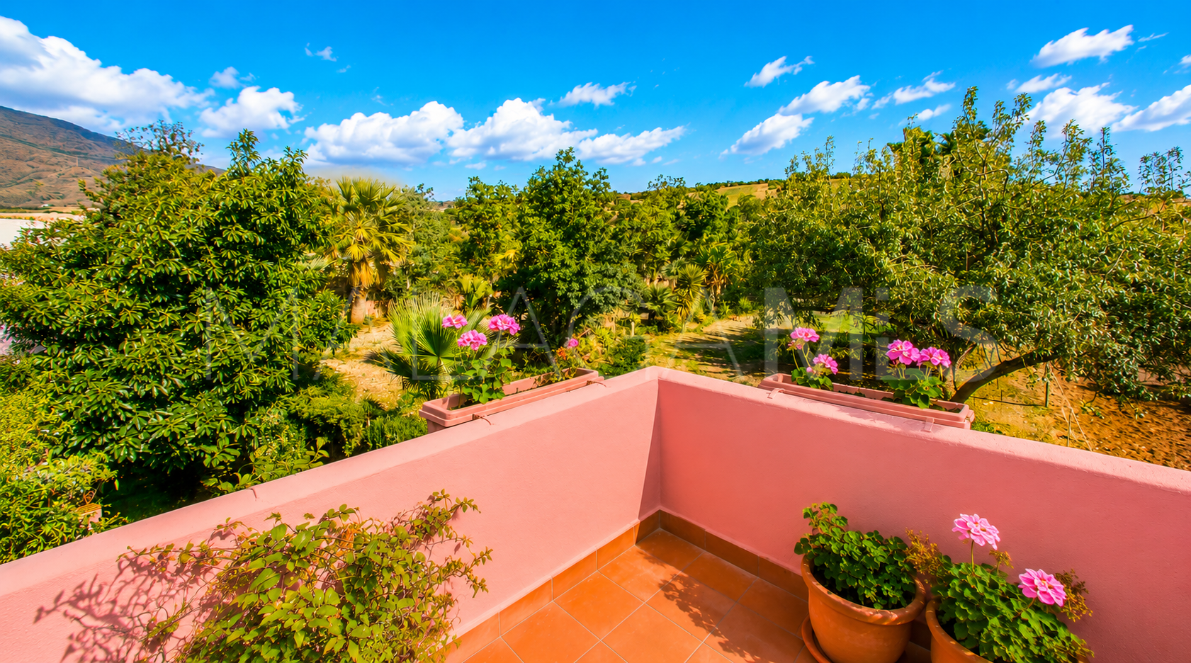 Finca for sale in Estepona
