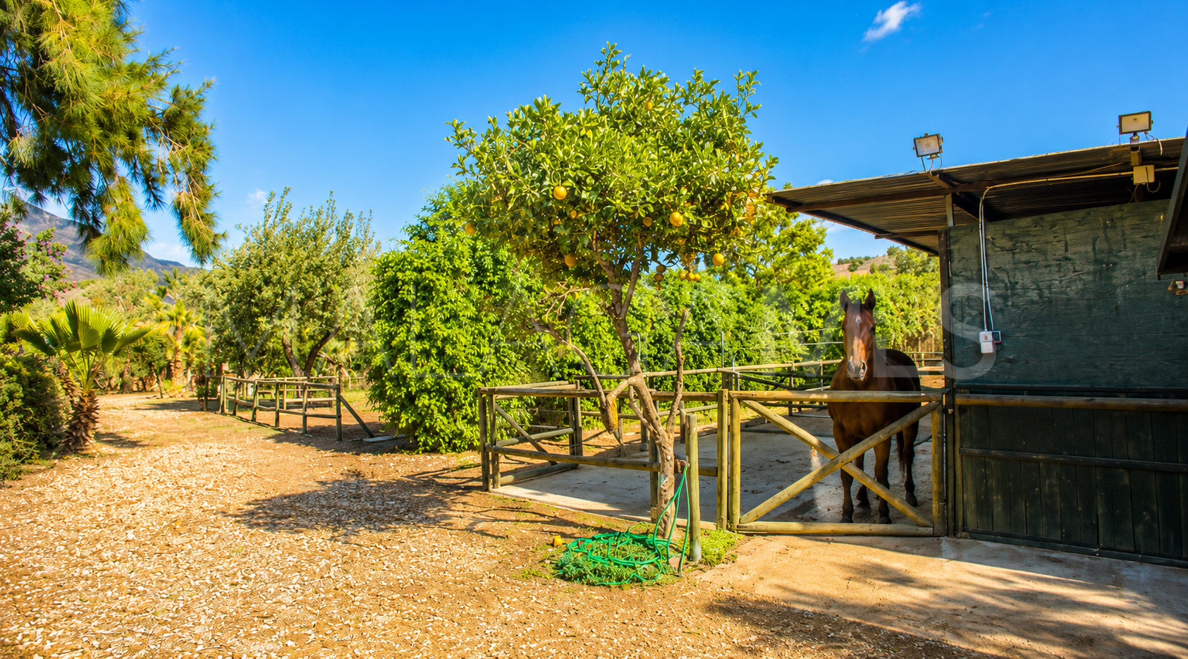 Finca for sale in Estepona