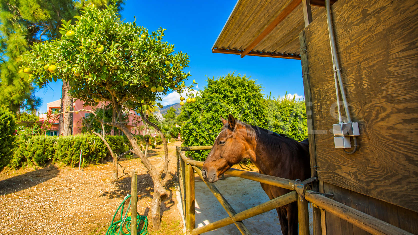Finca for sale in Estepona