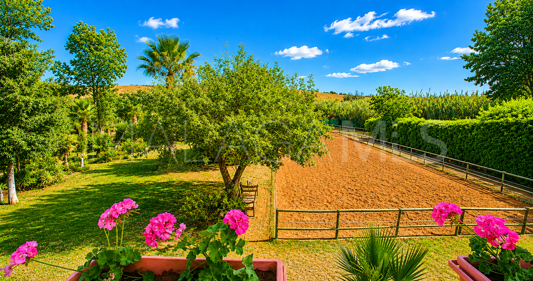 Finca for sale in Estepona