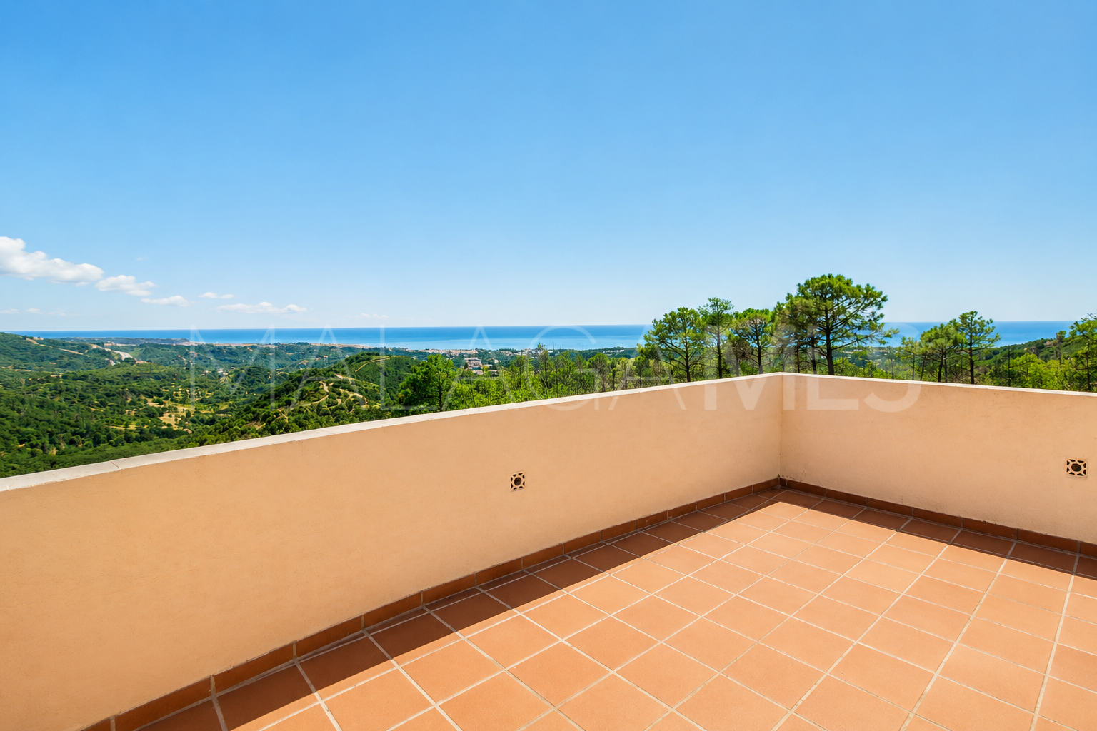 Finca with 7 bedrooms for sale in Estepona