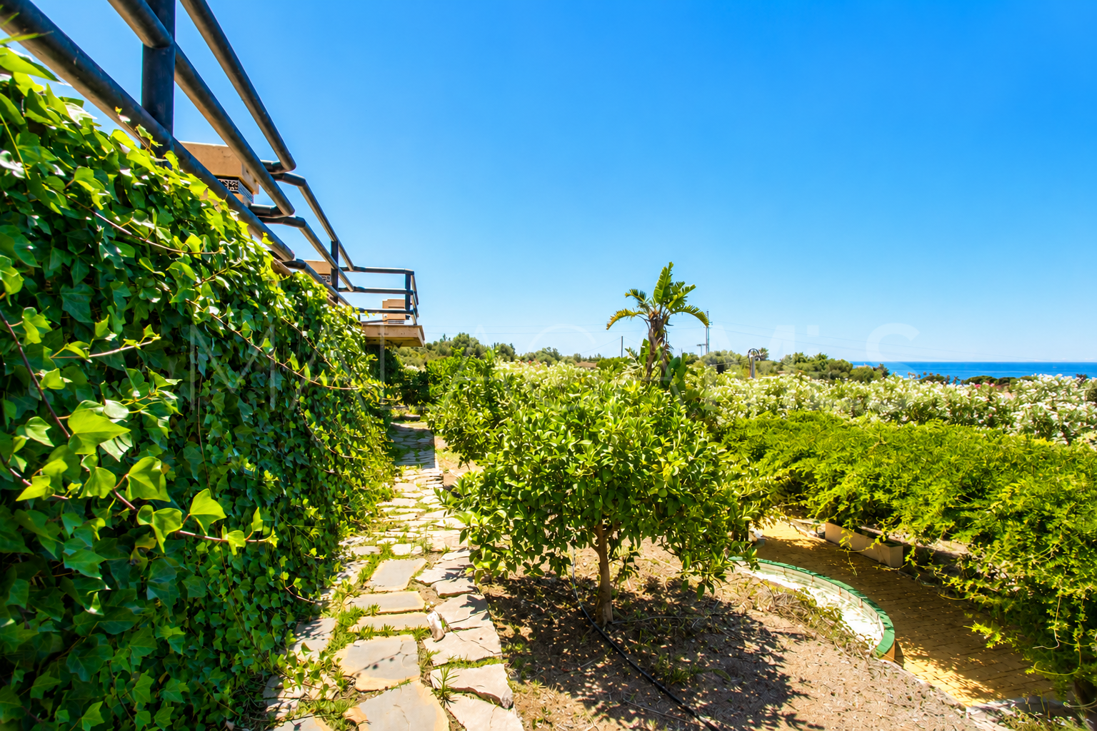 Finca for sale in Estepona