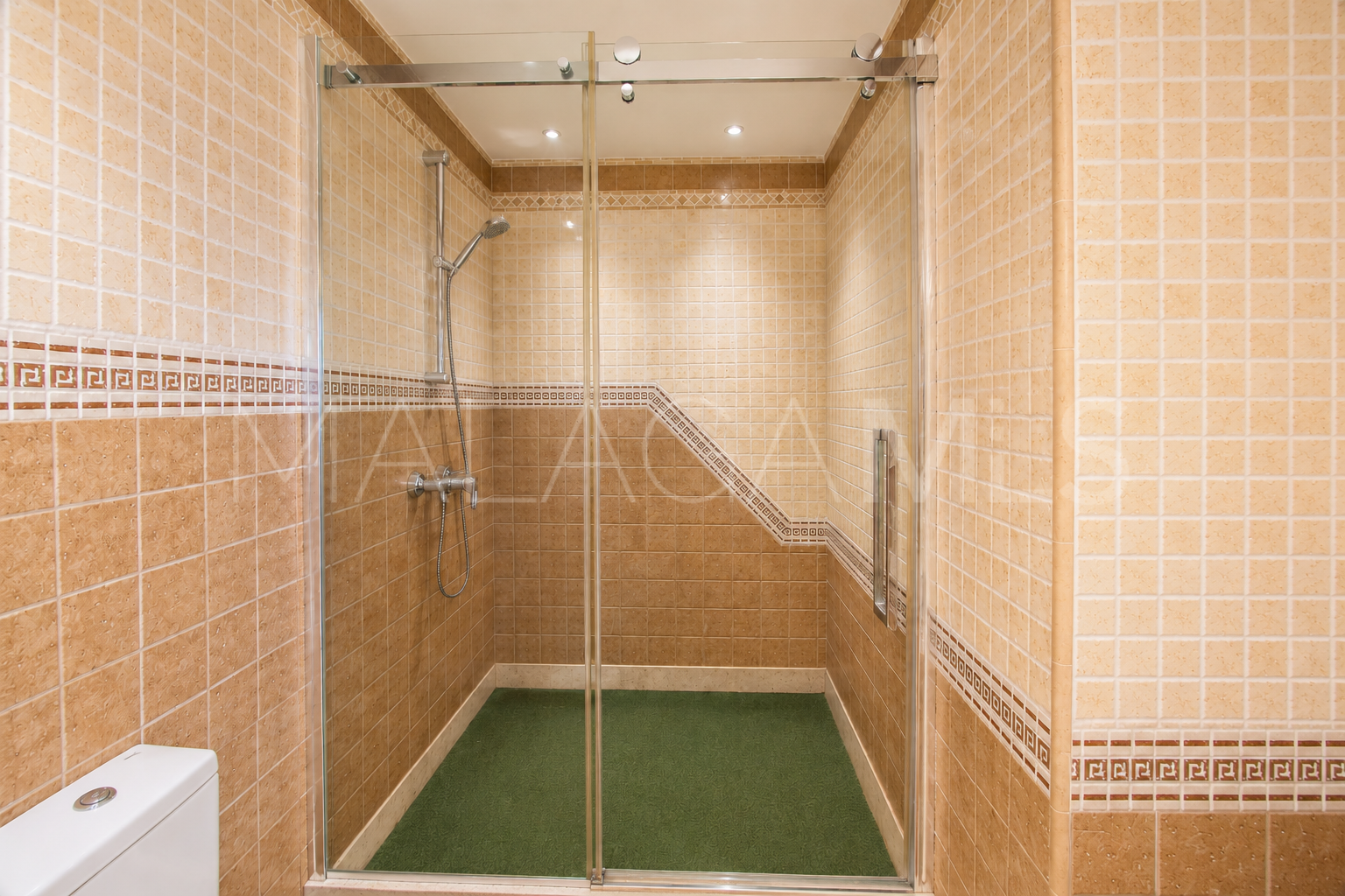 Finca for sale in Estepona