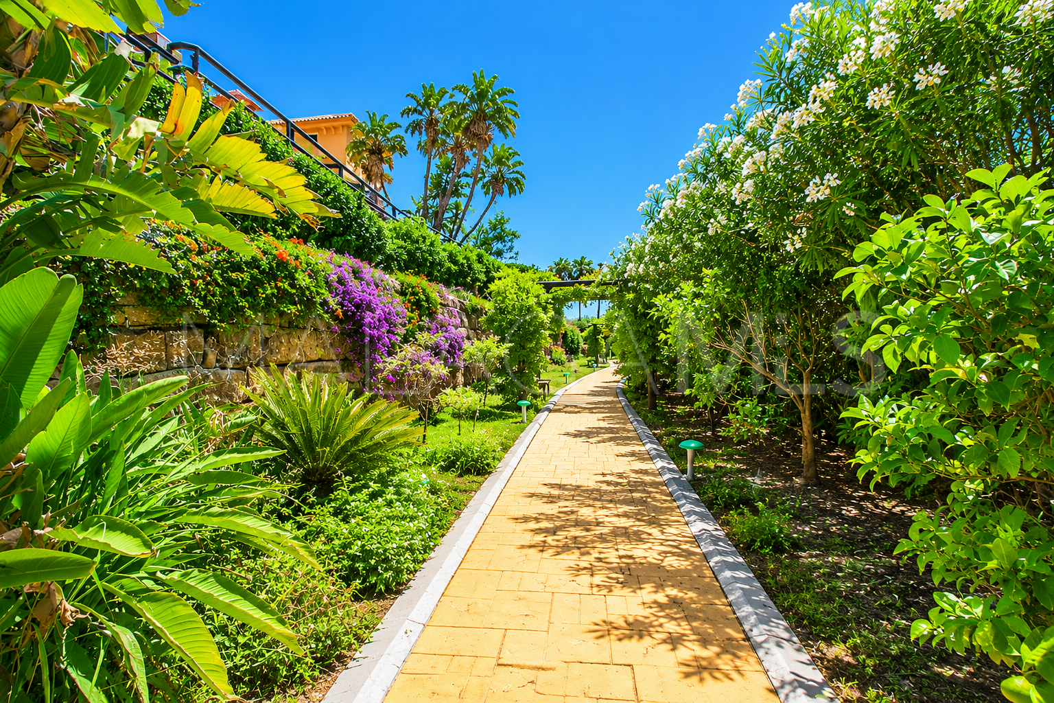 Finca for sale in Estepona