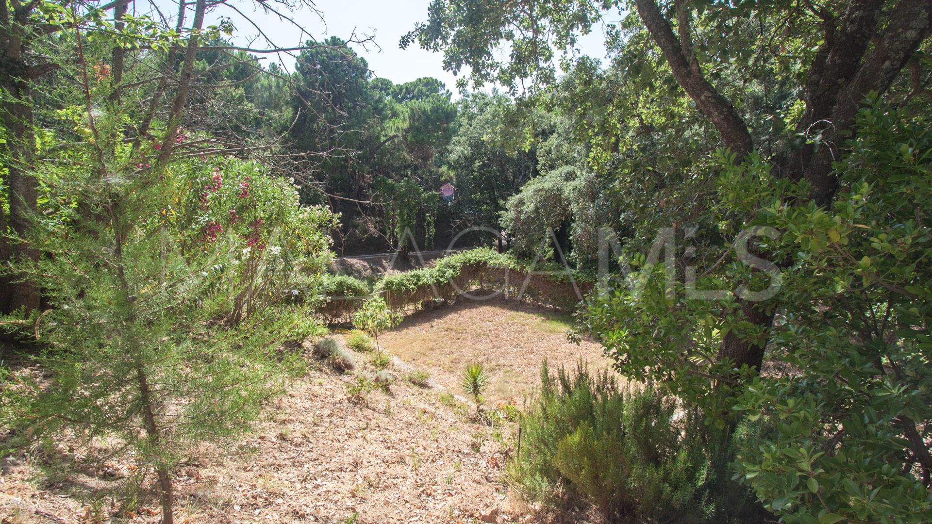 Buy finca de 3 bedrooms in Casares