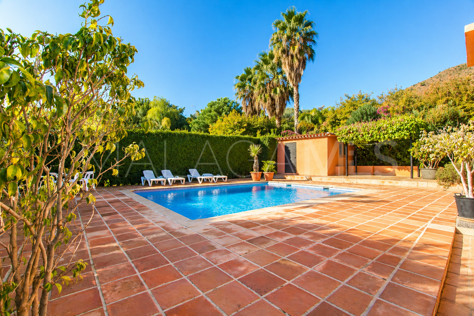 Finca with 4 bedrooms for sale in Estepona