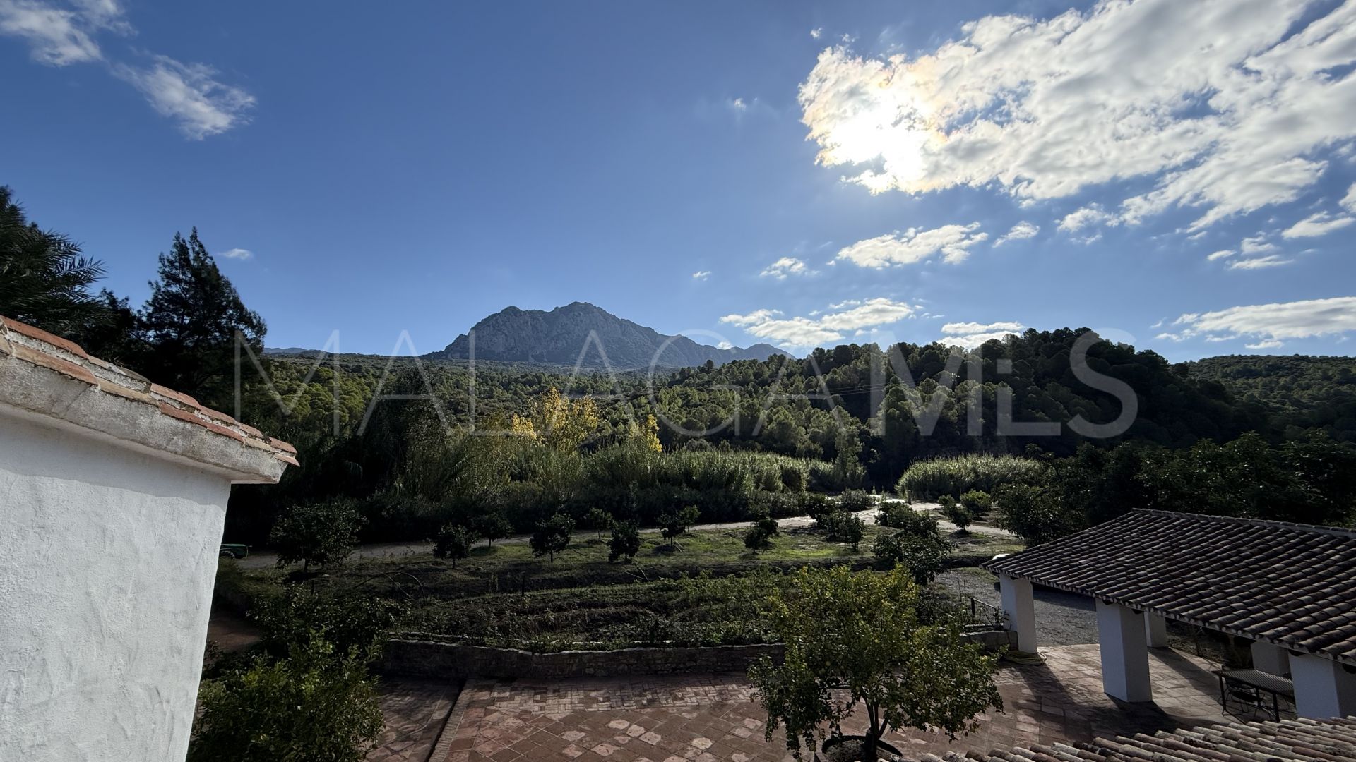 For sale finca in Casares