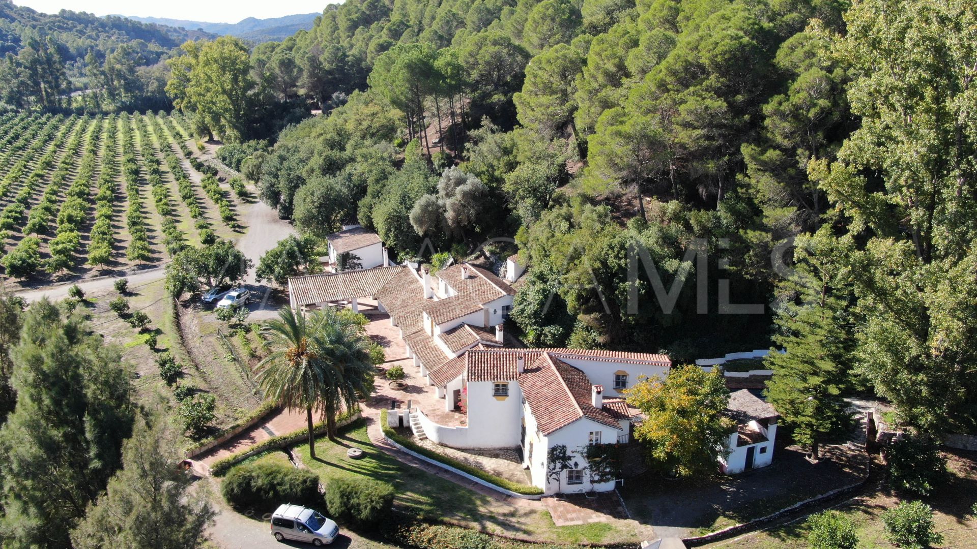 For sale finca in Casares