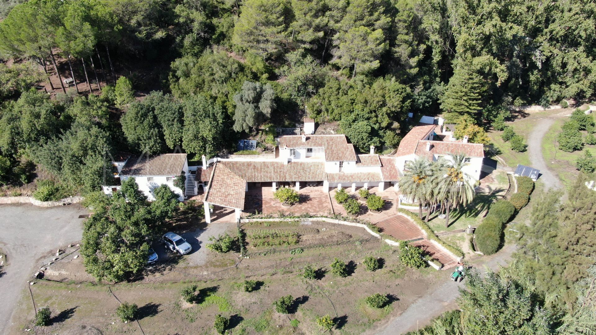 For sale finca in Casares