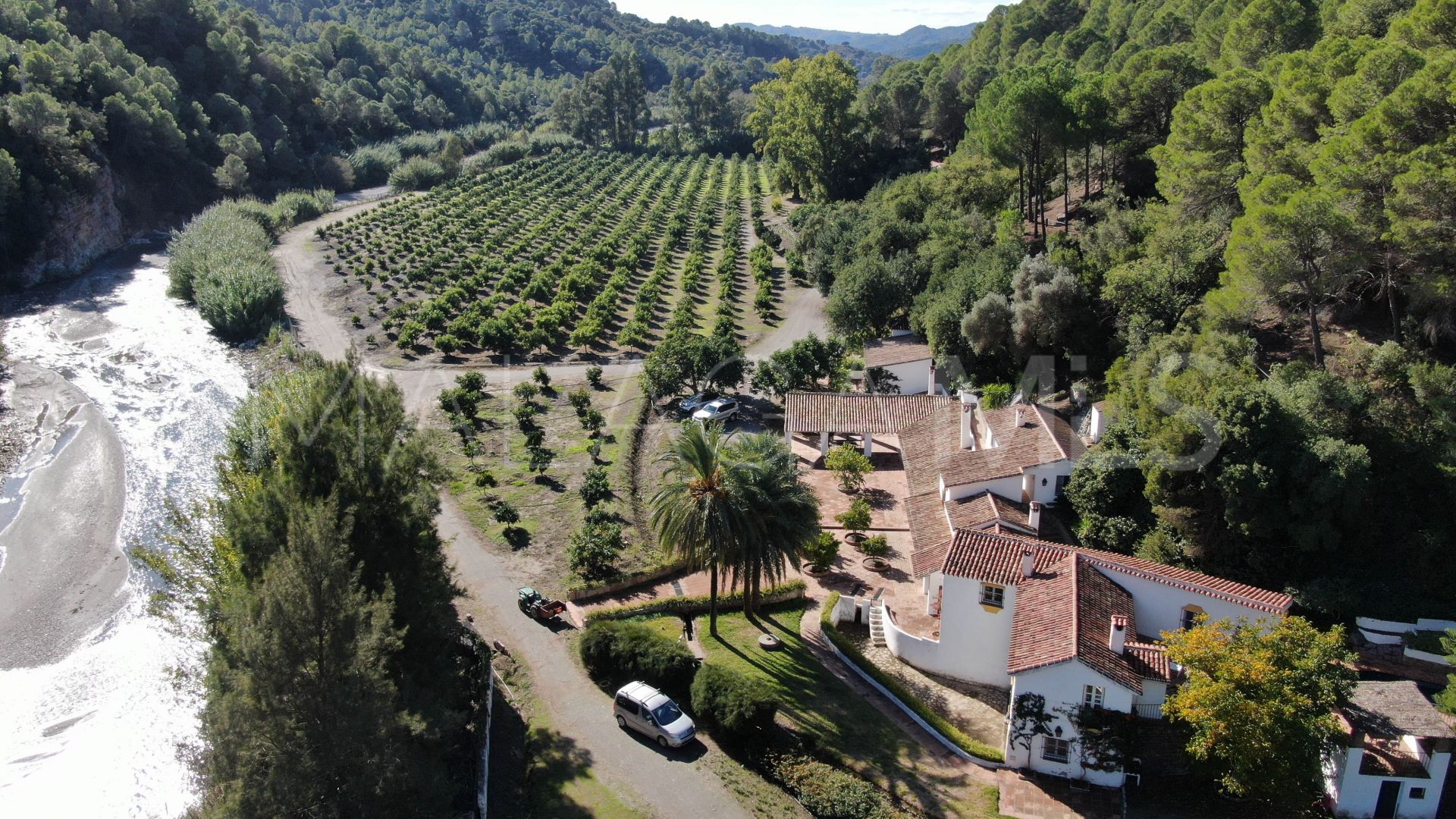 For sale finca in Casares