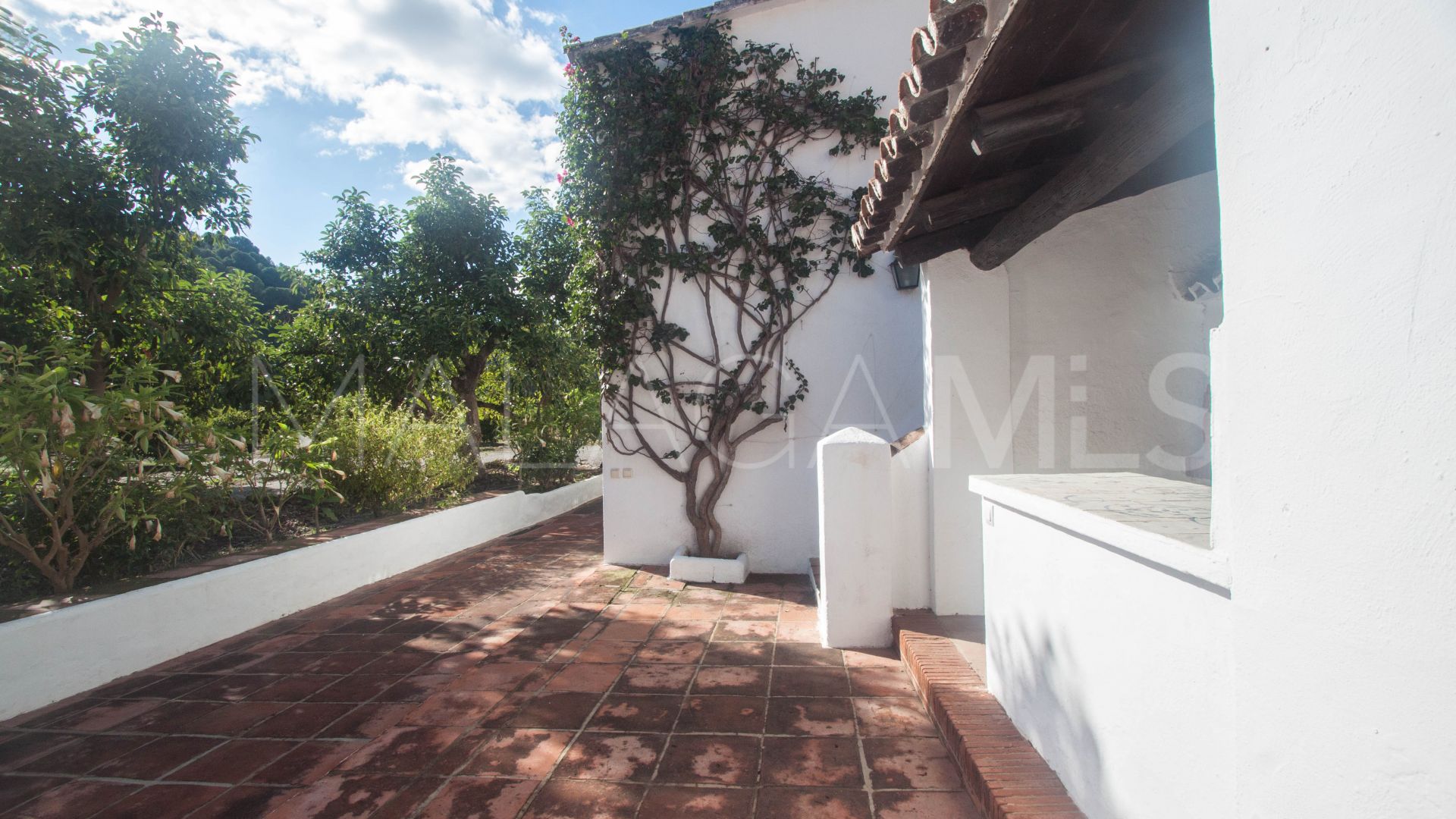 For sale finca in Casares