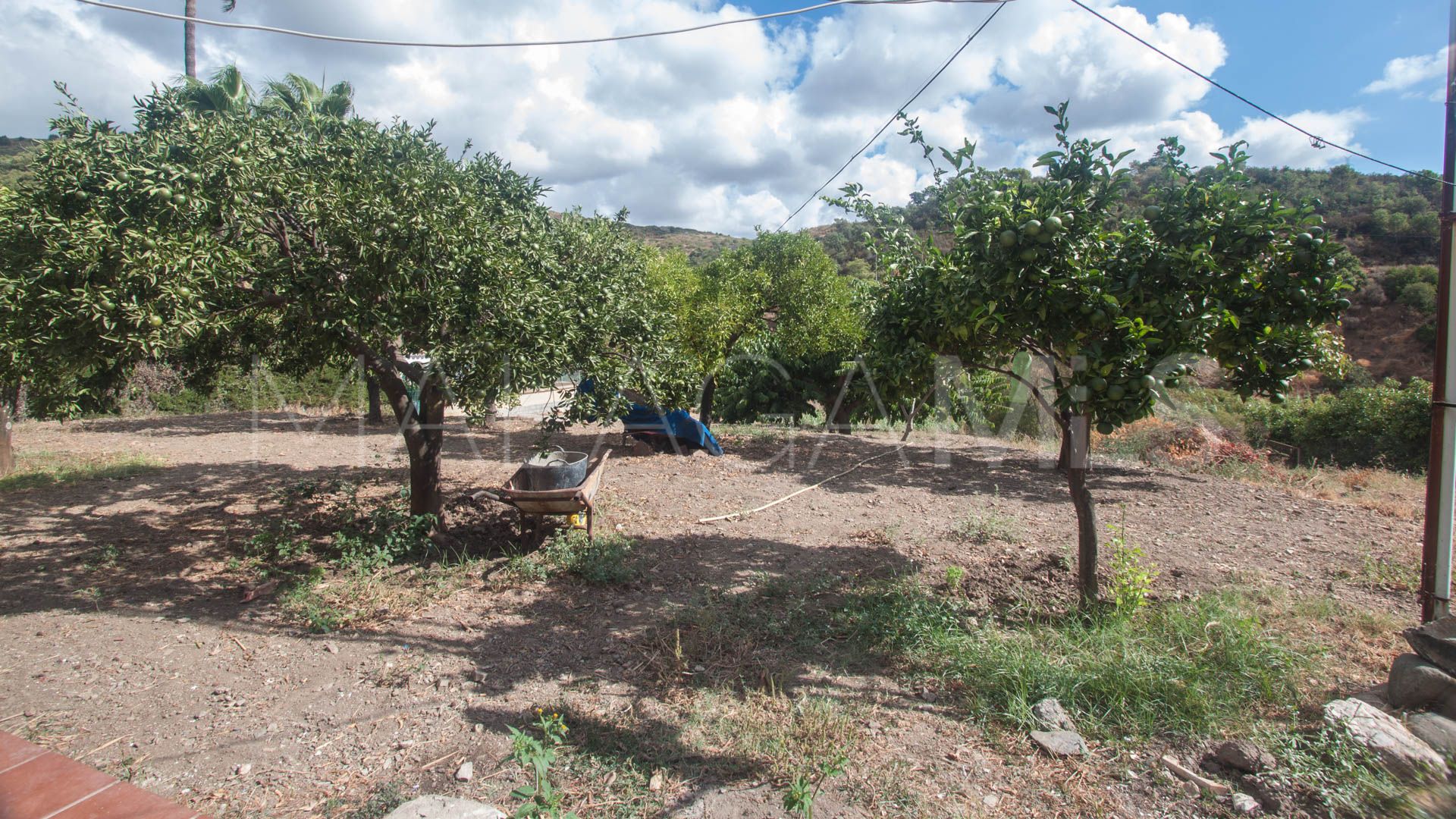 Finca for sale in Estepona