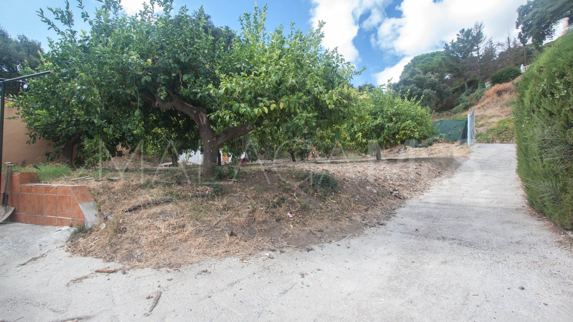 Finca for sale in Estepona