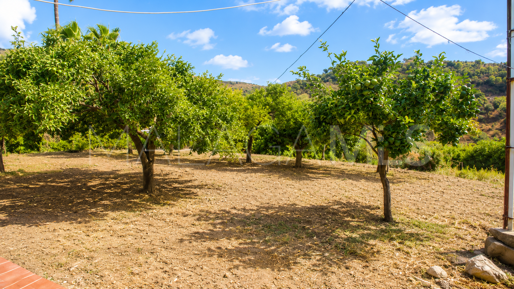 Estepona, finca for sale de 3 bedrooms