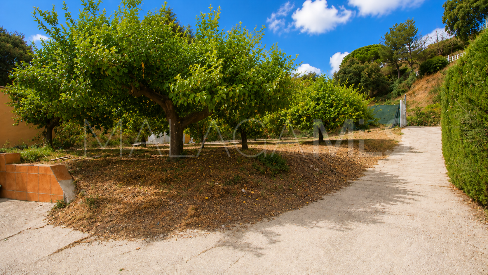 Estepona, finca for sale de 3 bedrooms