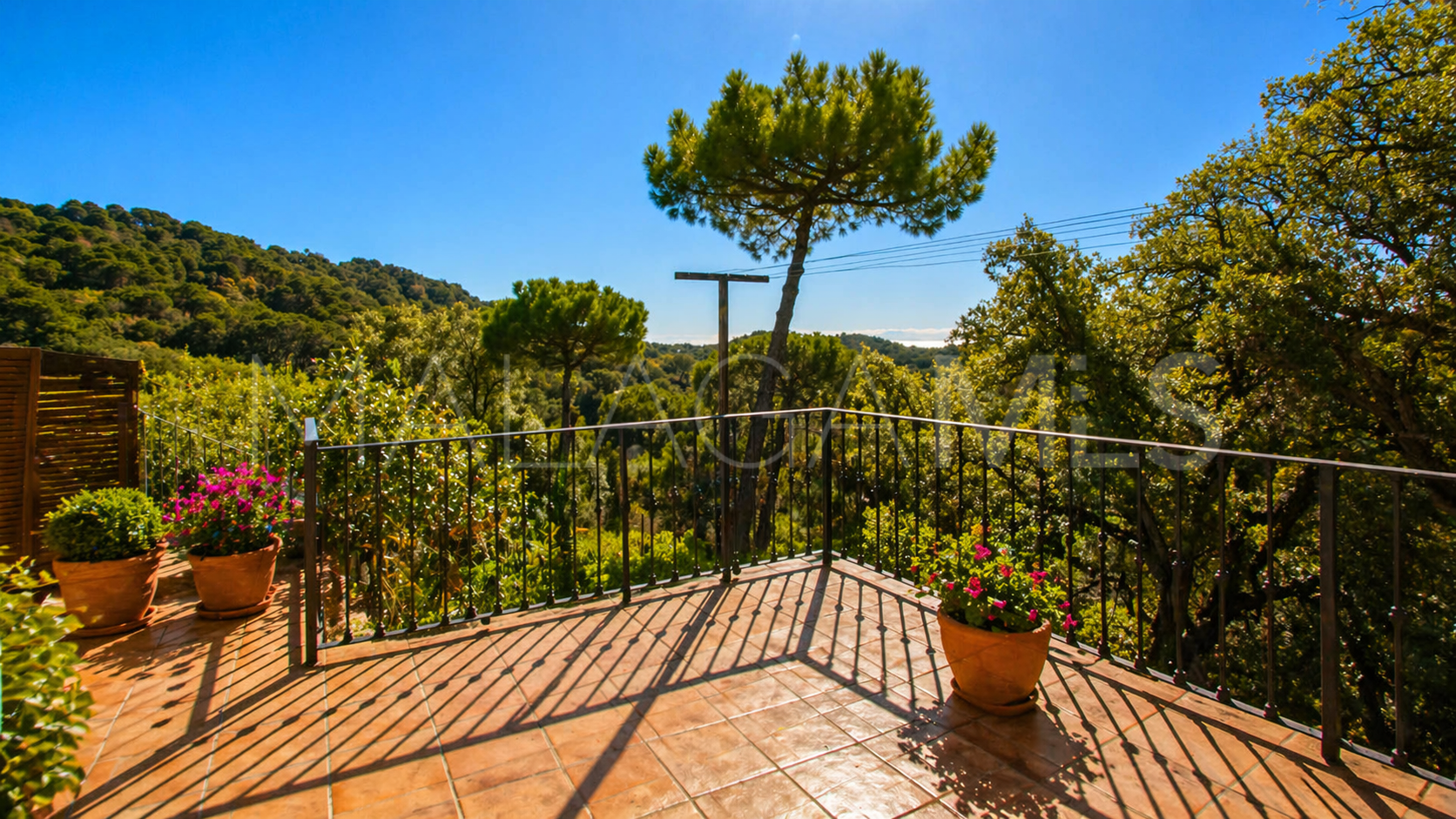 Finca for sale in Casares