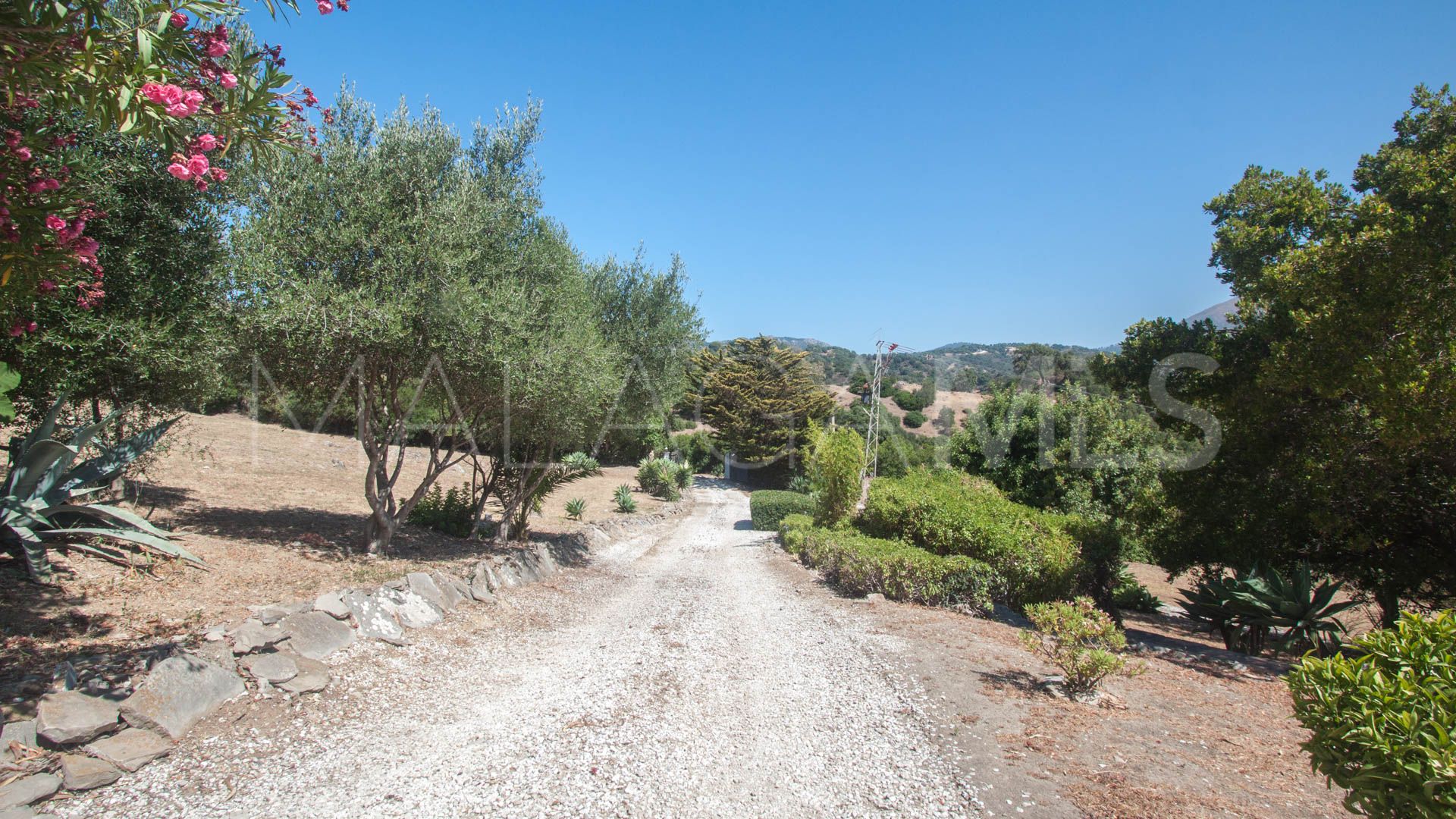 Finca for sale in Casares