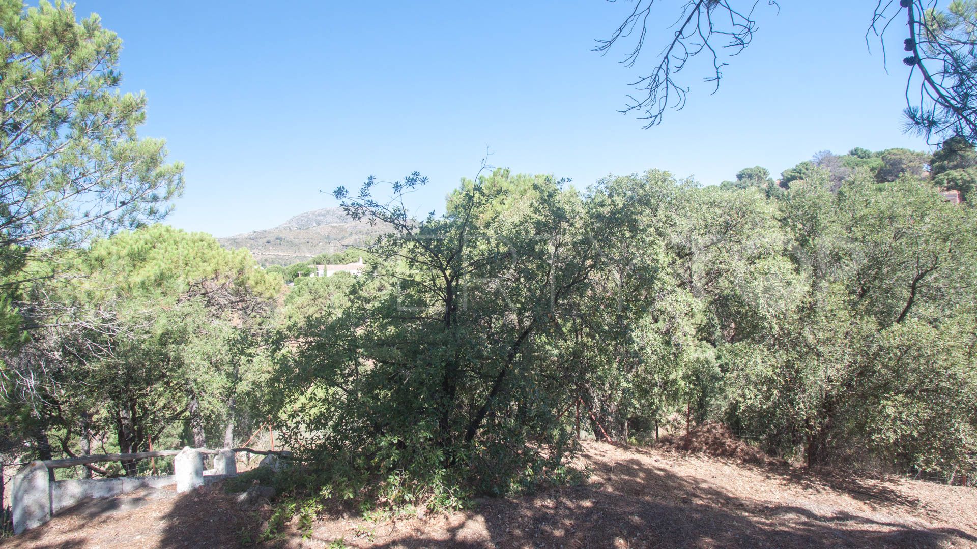 Finca for sale in Casares with 4 bedrooms