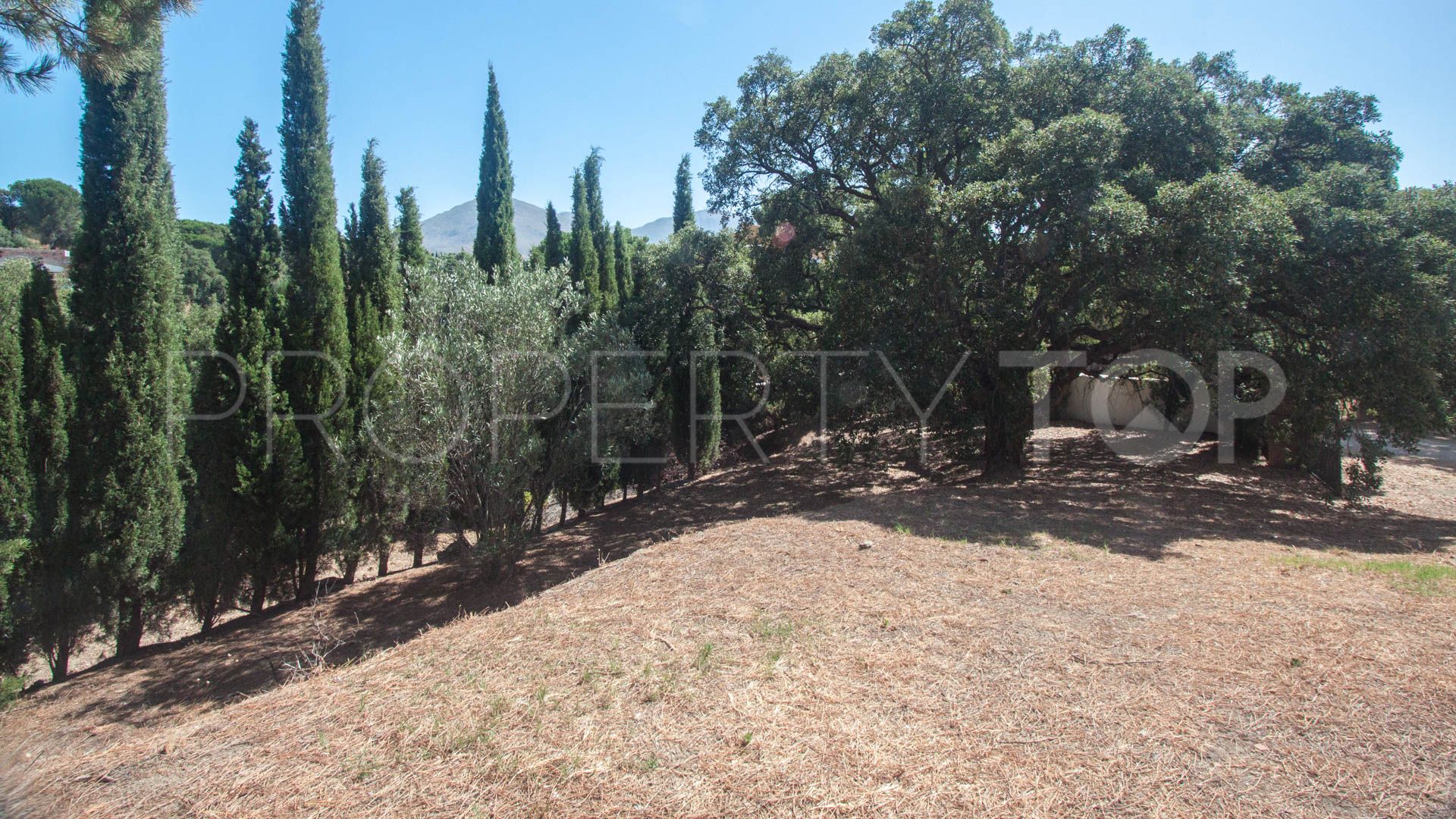 Finca for sale in Casares with 4 bedrooms