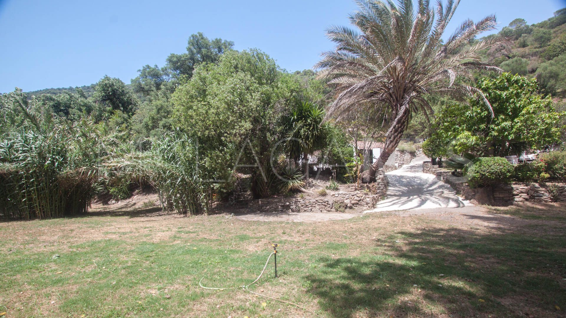 Gaucin, finca a la venta