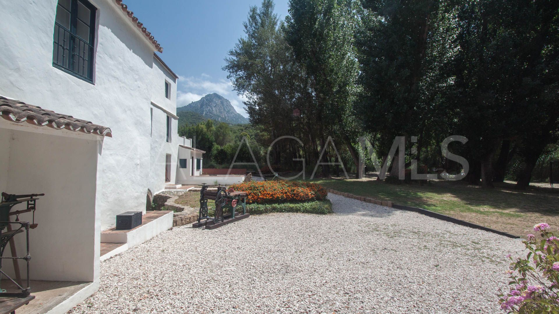 Gaucin, finca a la venta