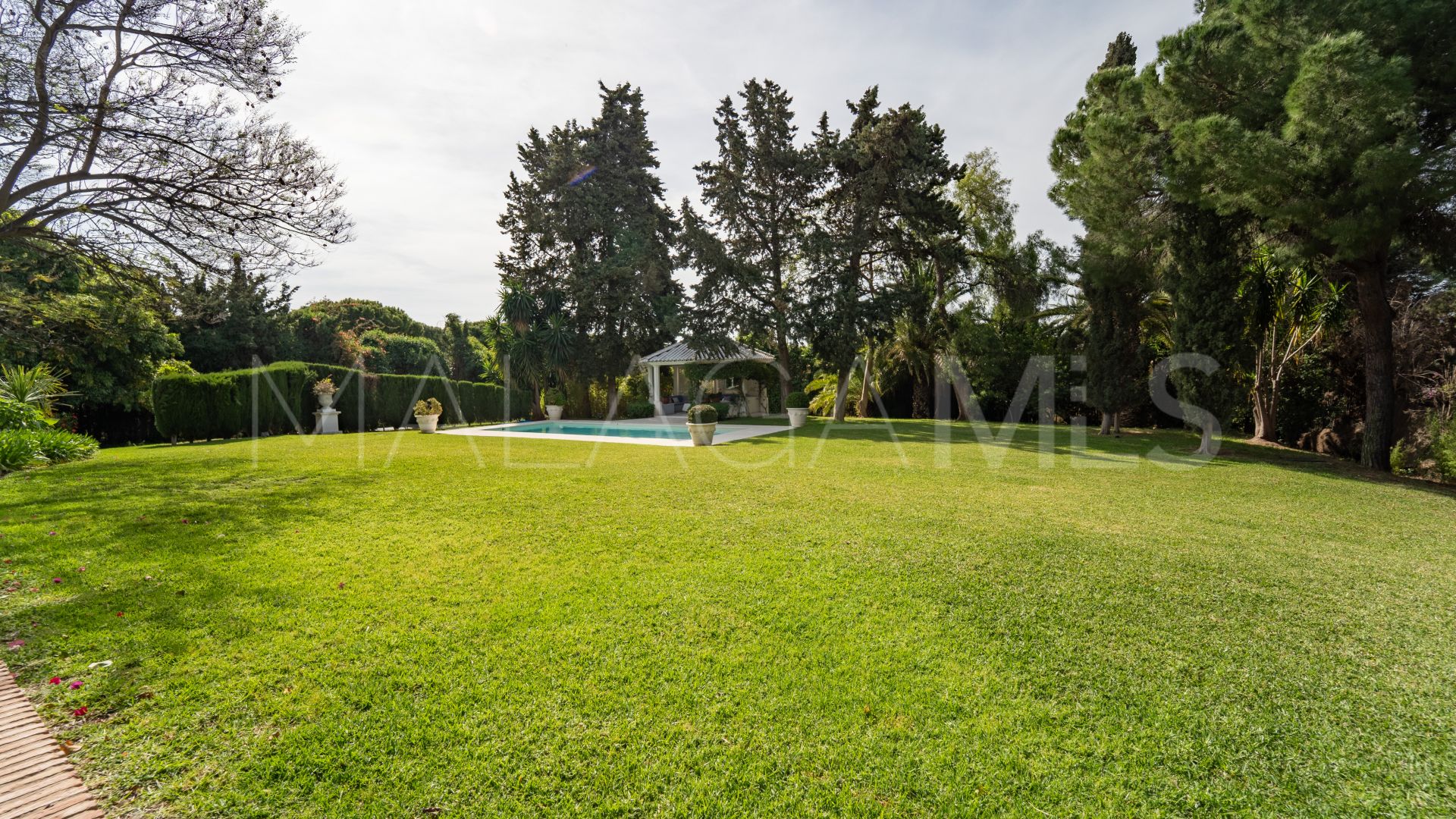 Buy villa in Calahonda