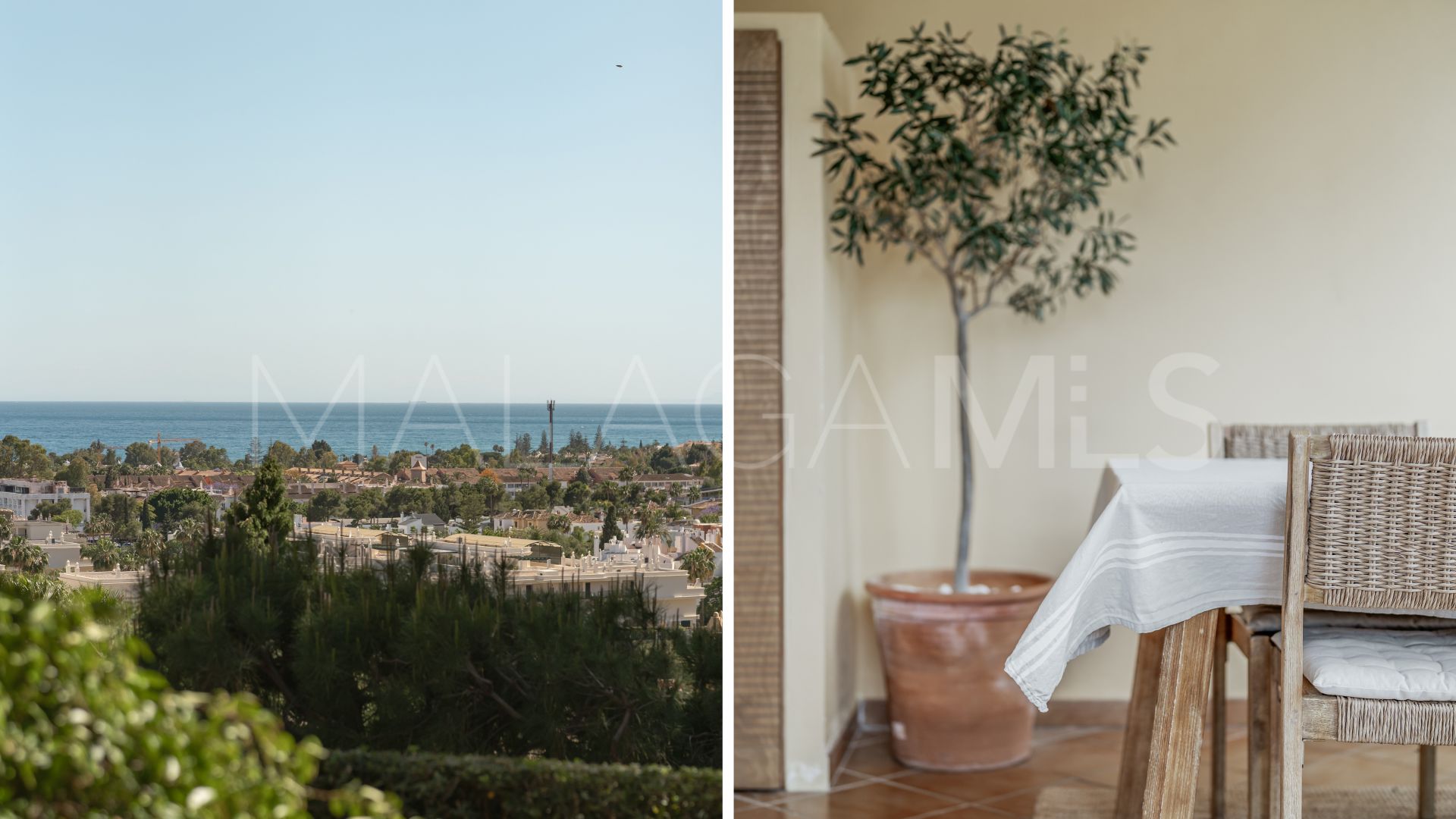 Appartement rez de chaussée for sale in Nueva Andalucia