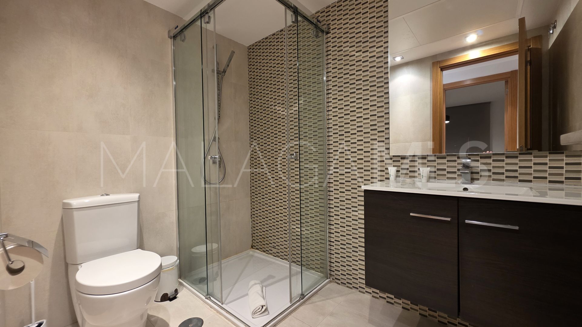 Duplex penthouse for sale in San Pedro Playa