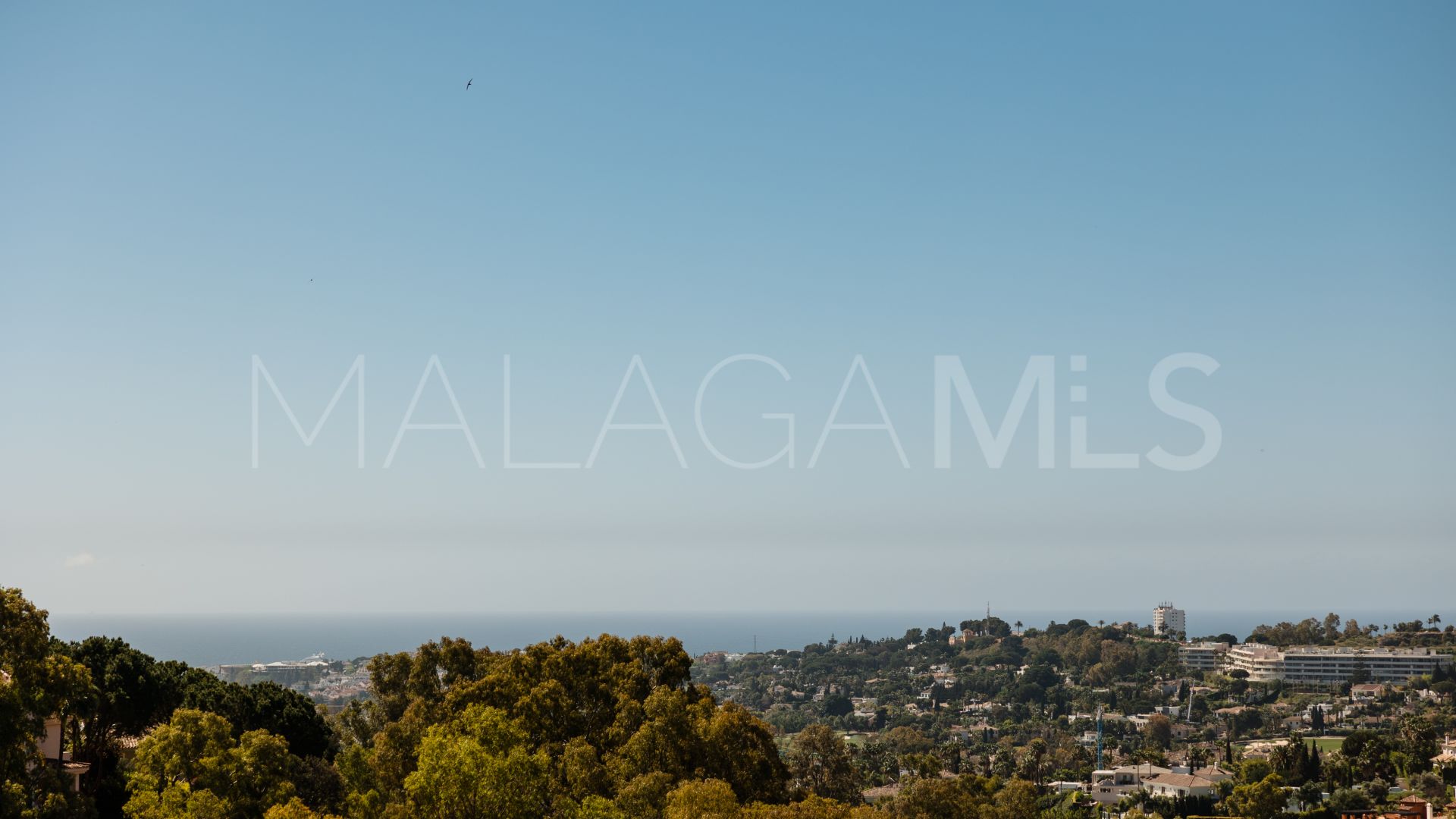Buy atico duplex in Vista Real